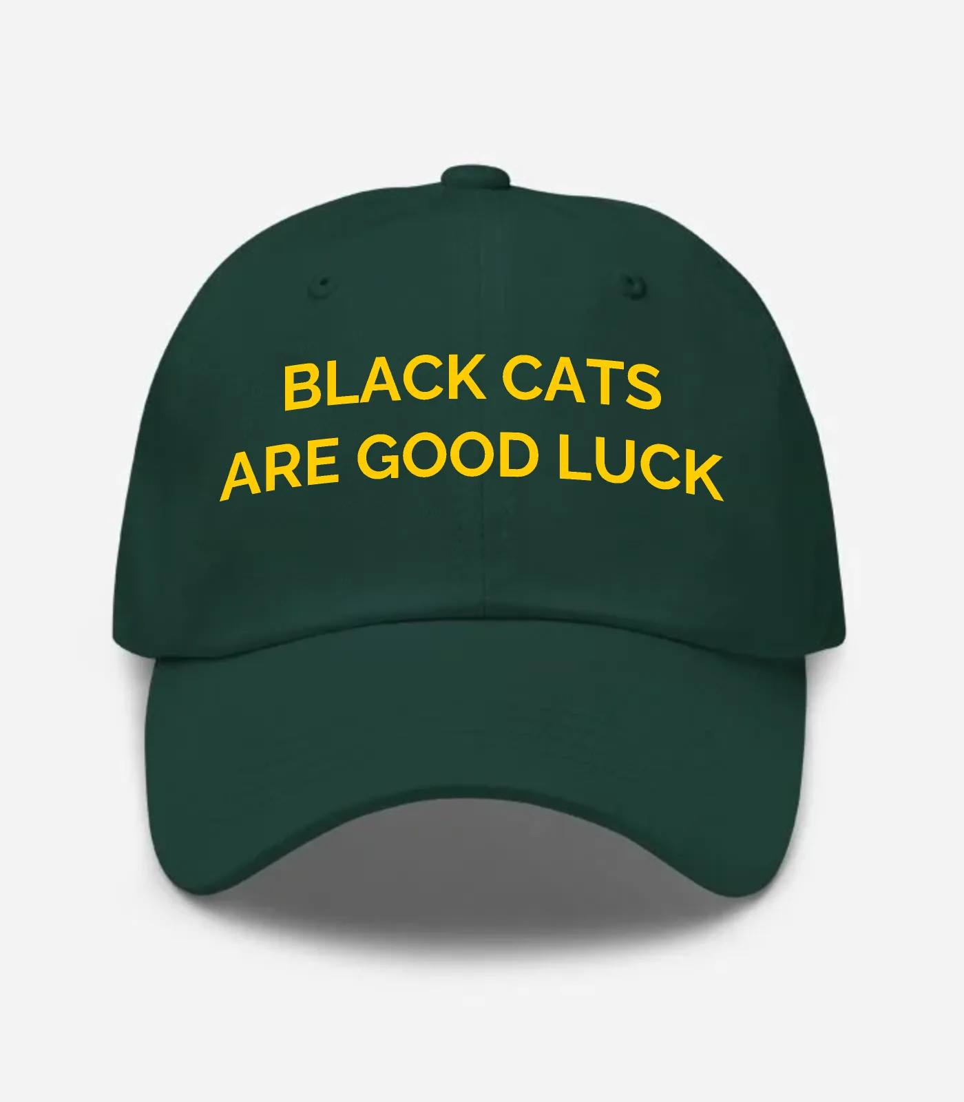 Black Cats Are Good Luck Hat