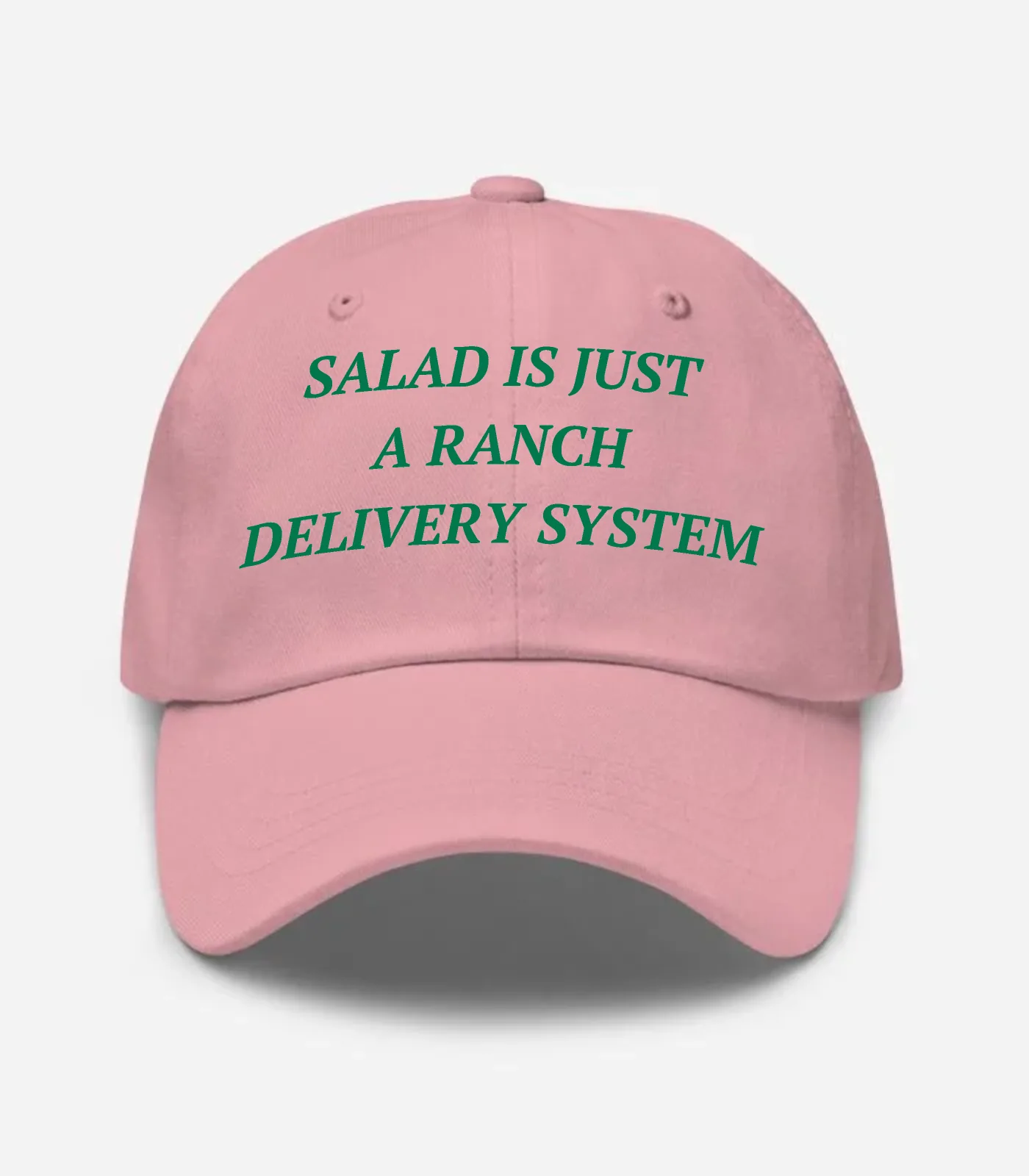 Salad Is Just A Ranch Delivery System Hat
