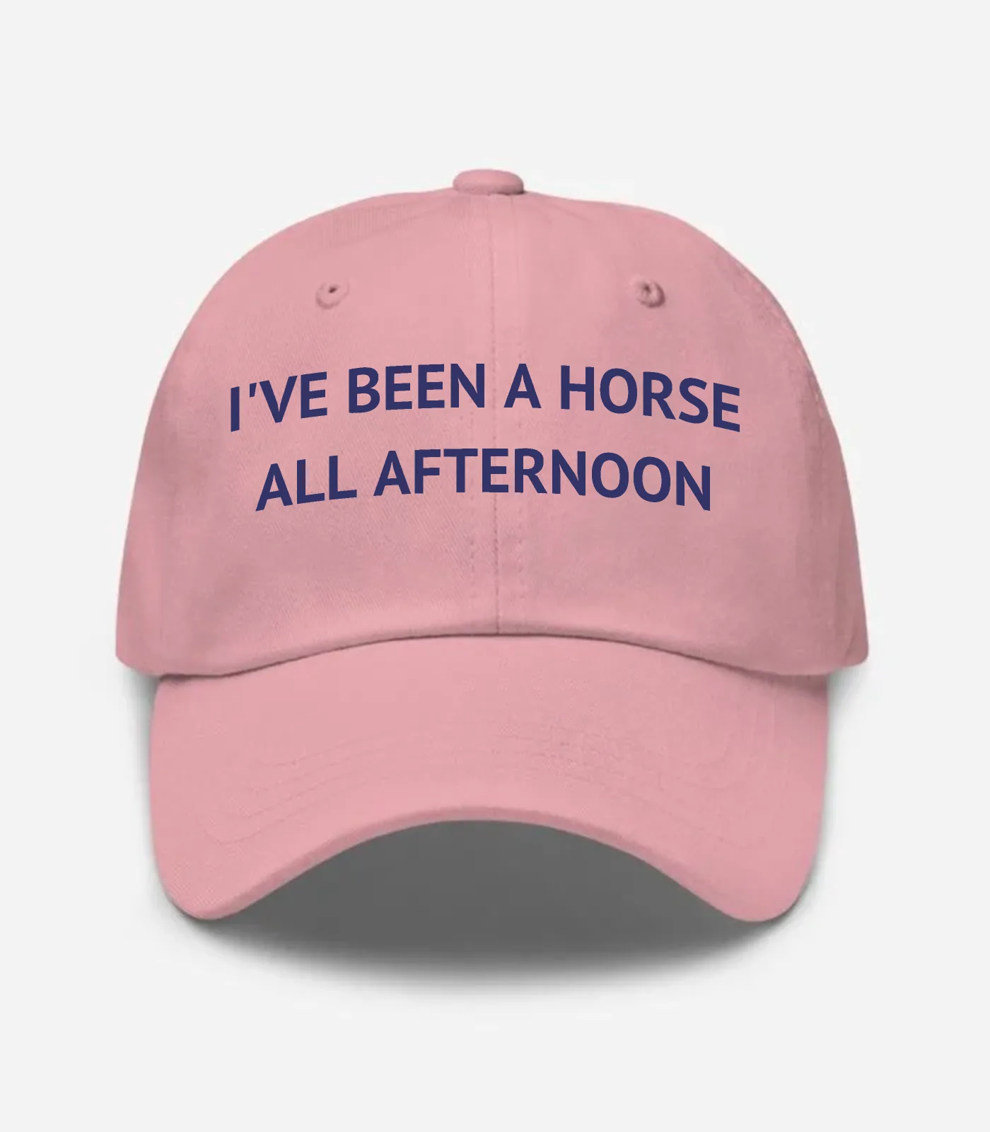 I've Been A Horse All Afternoon Hat