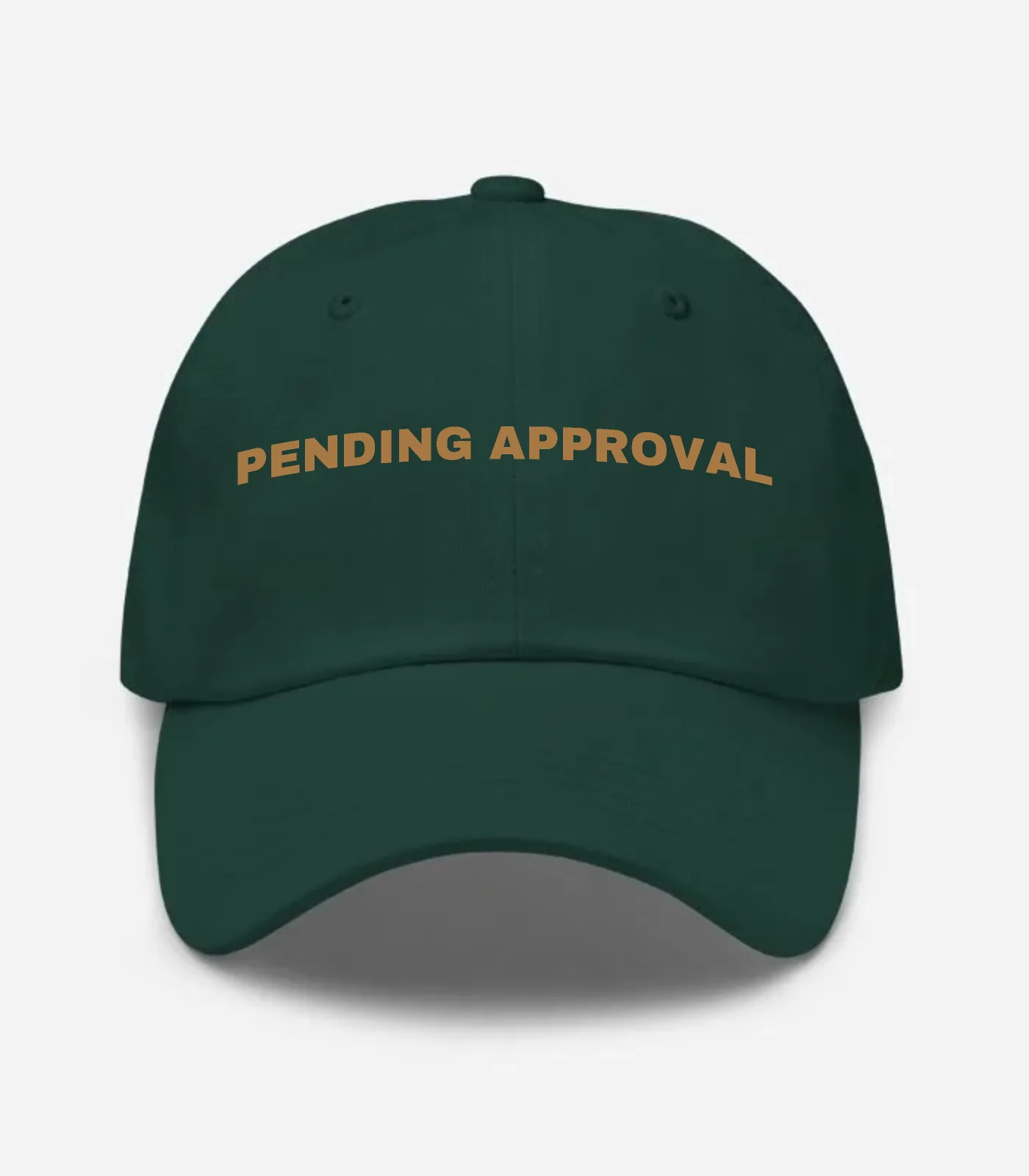 Pending Approval Hat - Spruce