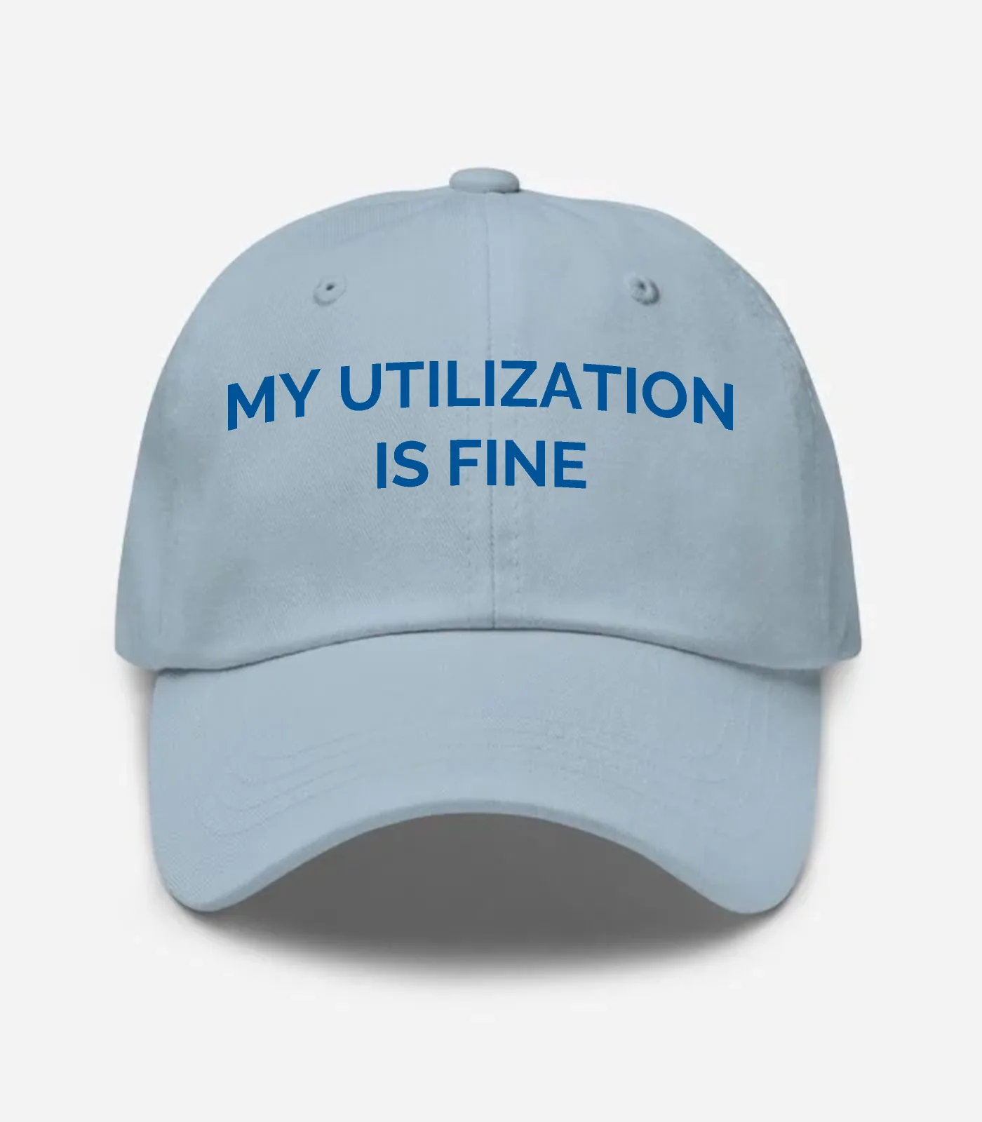 My Utilization Is Fine Hat - Light Blue