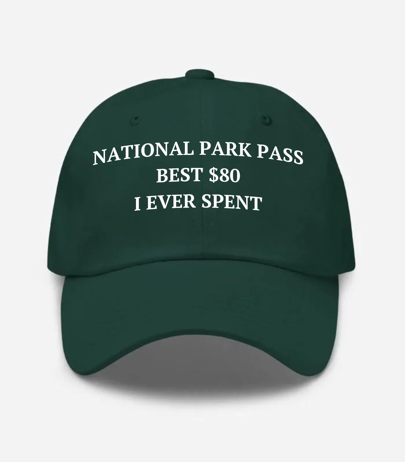National Park Pass Best $80 I Ever Spent Hat