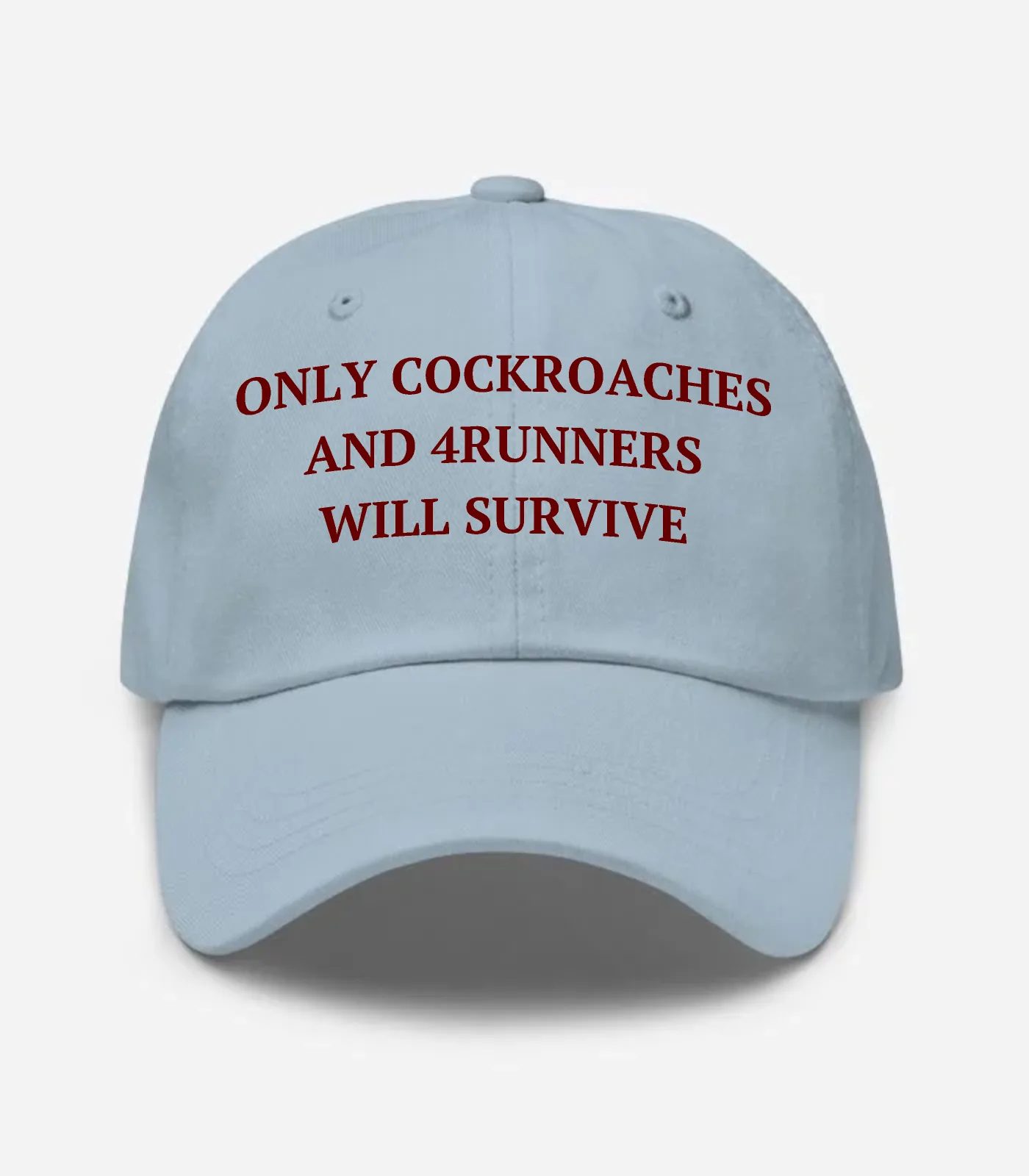 Only Cockroaches And 4Runners Will Survive Hat - Light Blue