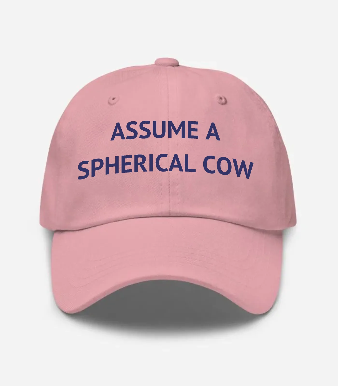 Assume A Spherical Cow Hat - Pink