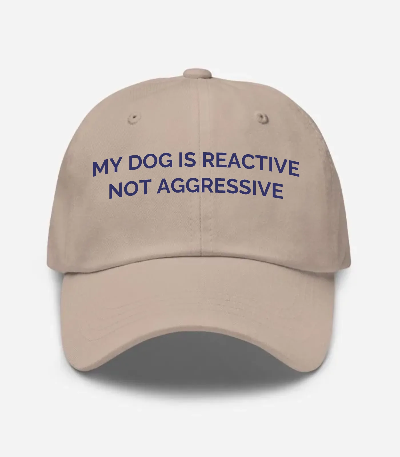 My Dog Is Reactive Not Aggr... Hat - Stone