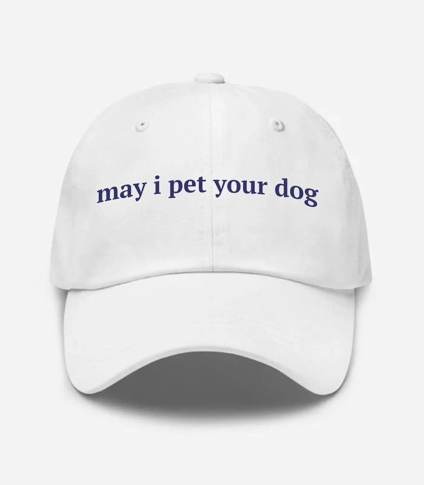 May I Pet Your Dog Hat