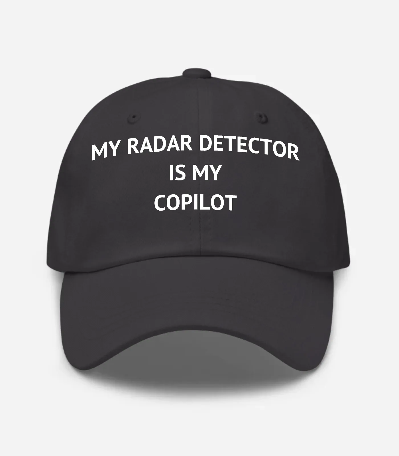 My Radar Detector Is My Copilot Hat