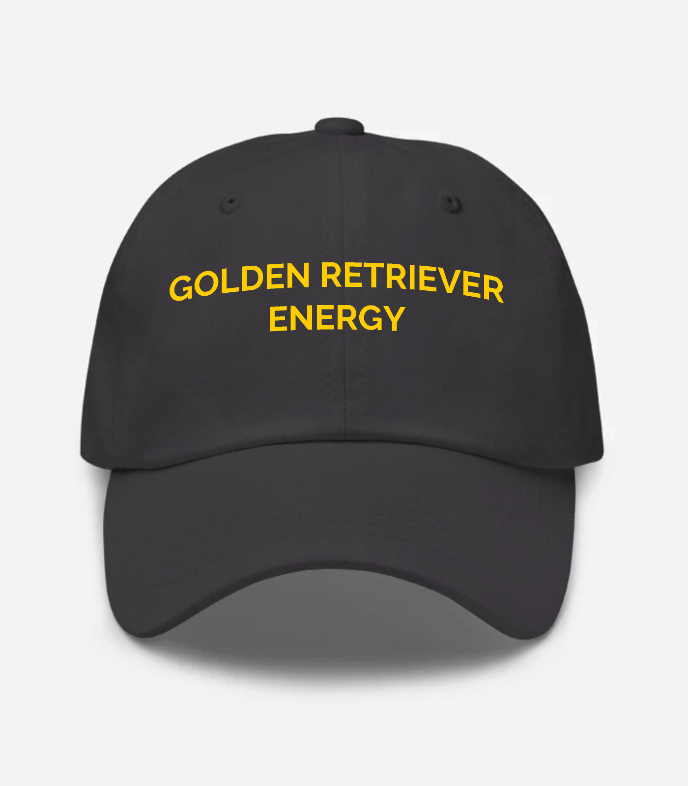 Golden Retriever Energy Hat