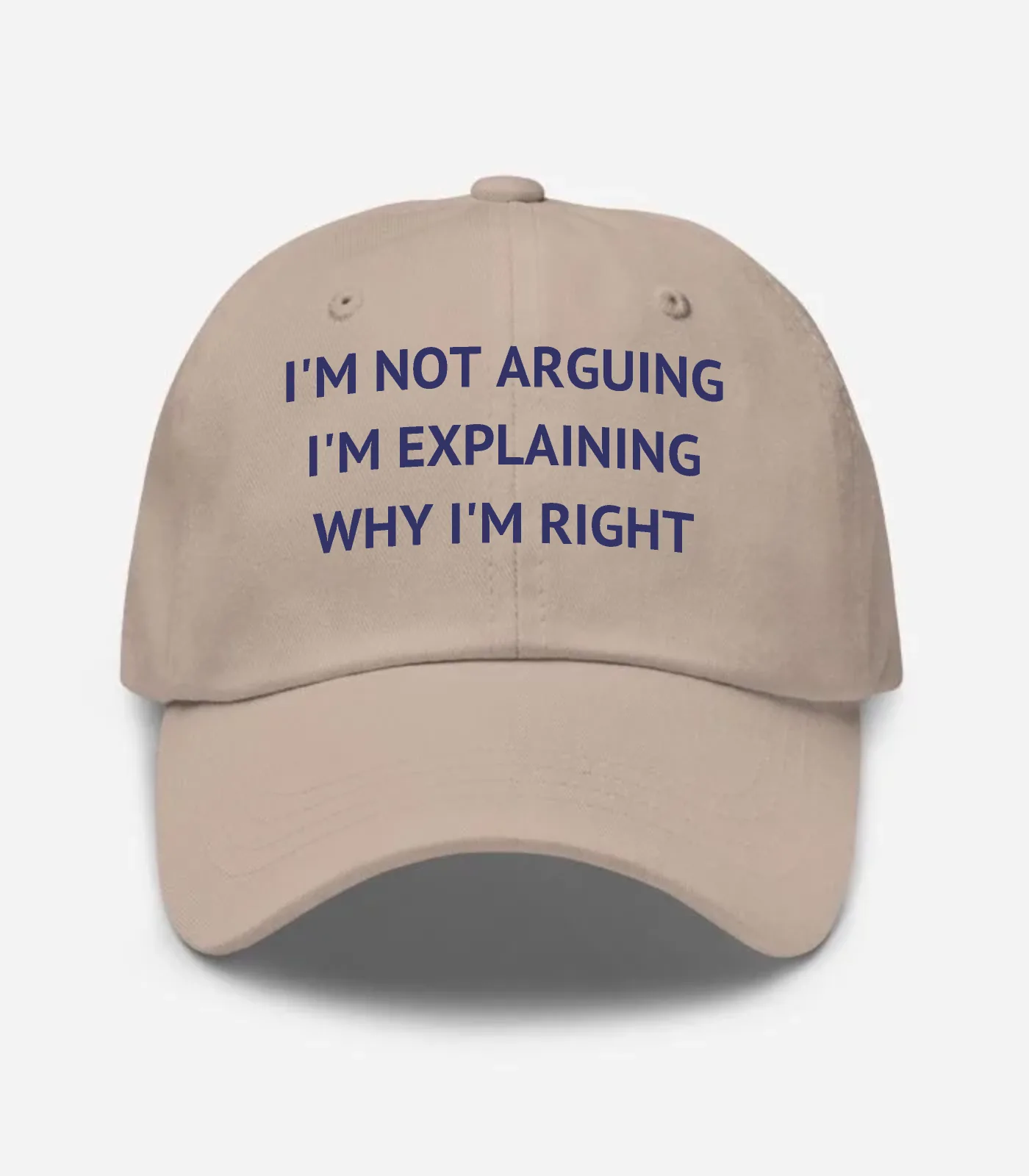 I'm Not Arguing I'm Explaining Why I'm Right Hat - Stone