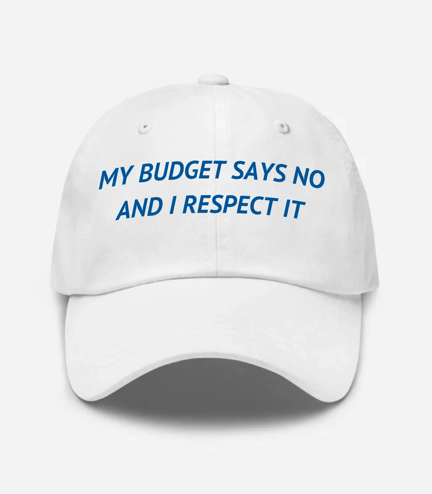 My Budget Says No And I Respect It Hat