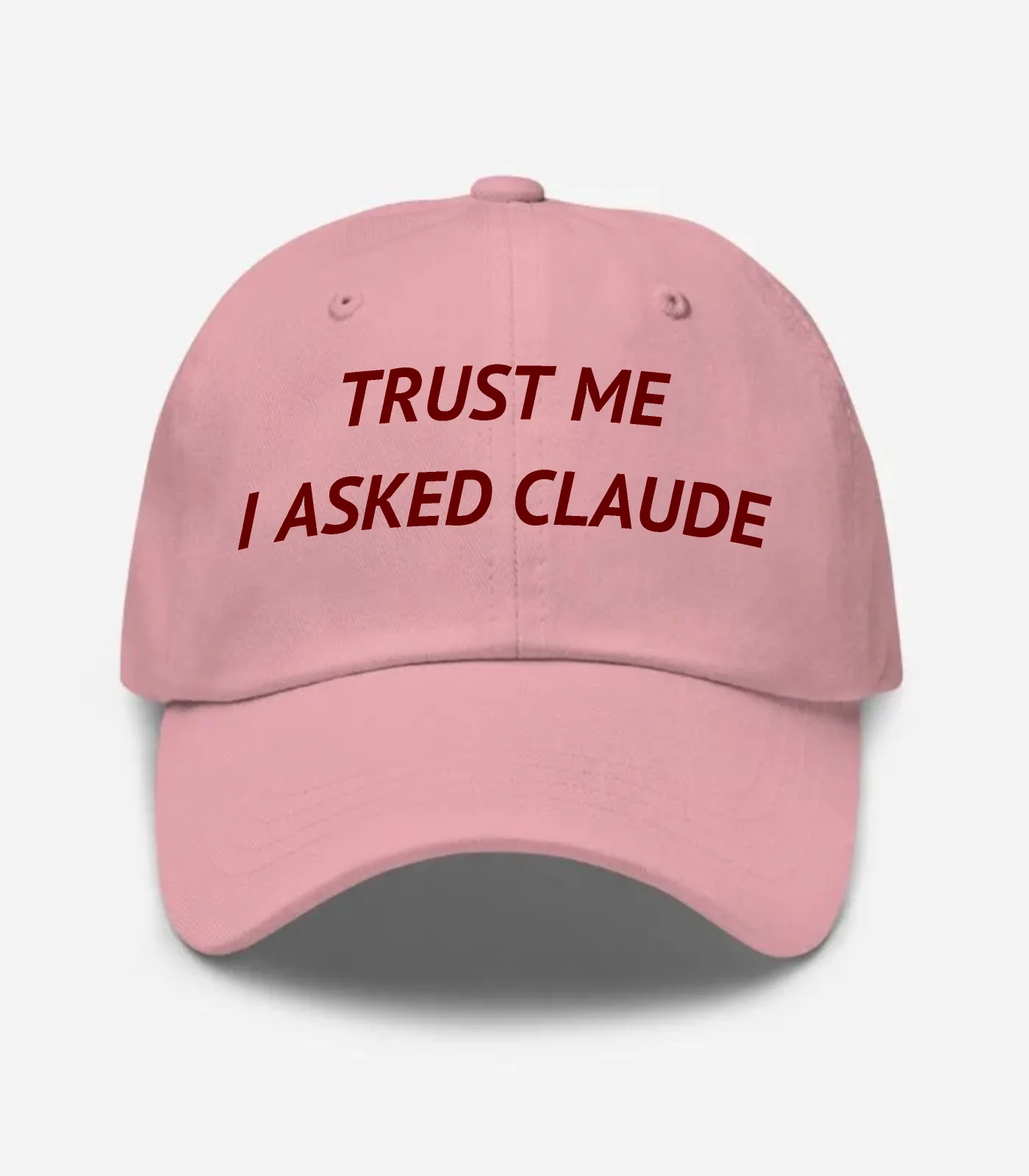 Trust Me I Asked Claude Hat - Pink