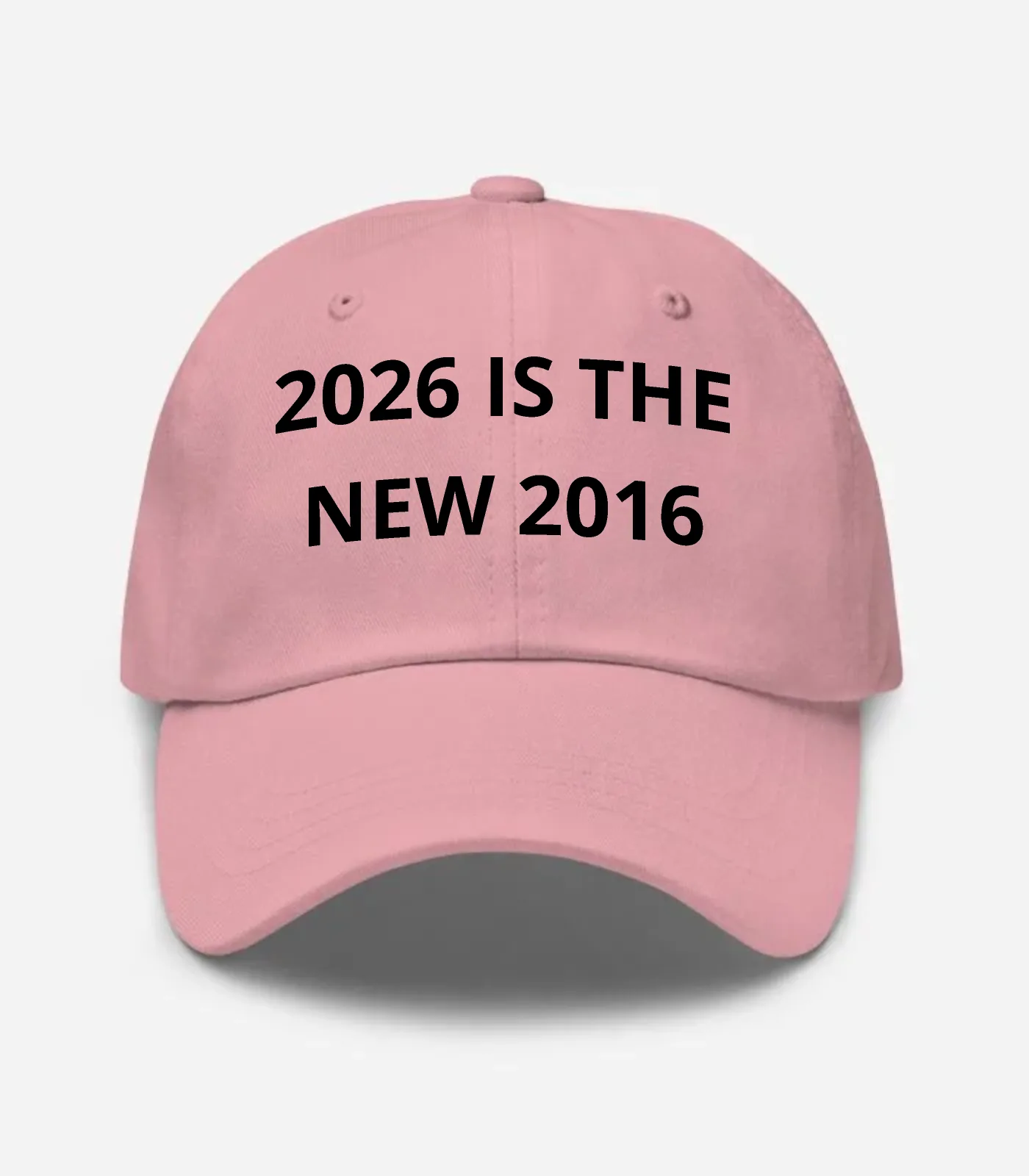 2026 Is The New 2016 Hat - Pink