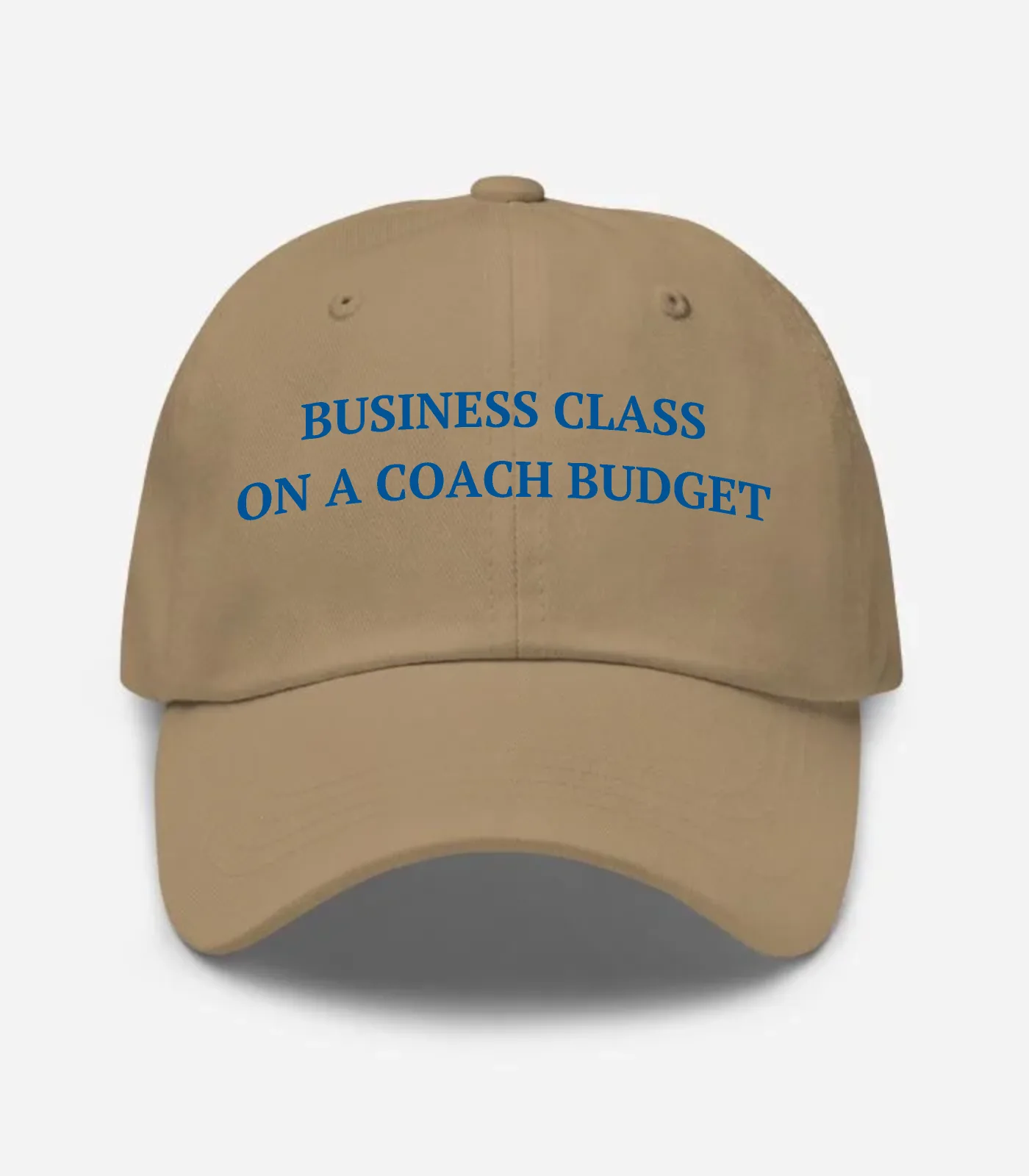 Business Class On A Coach Budget Hat