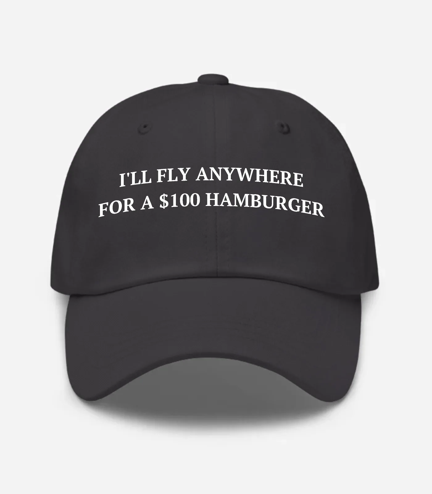 I'll Fly Anywhere For A $100 Hamburger Hat - Dark Grey