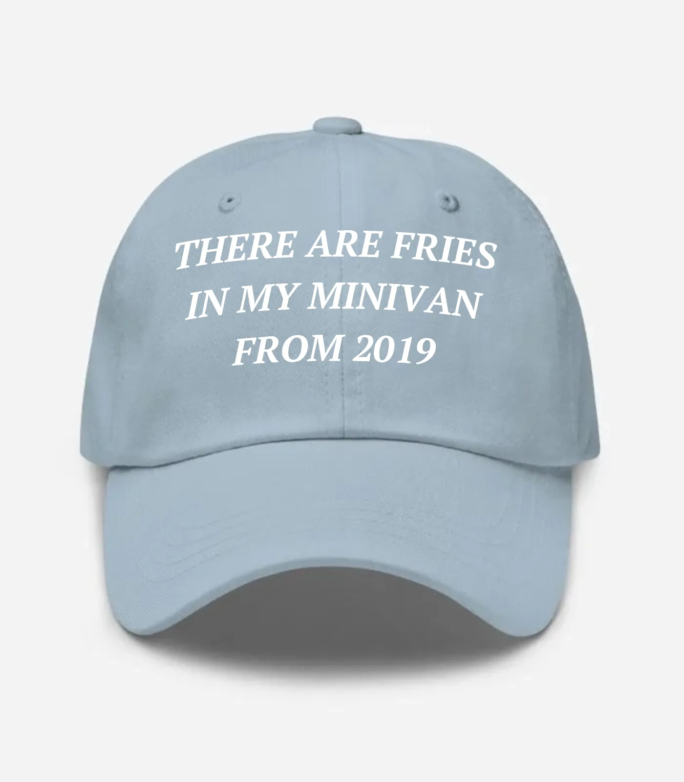 There Are Fries In My Minivan From 2019 Hat - Light Blue