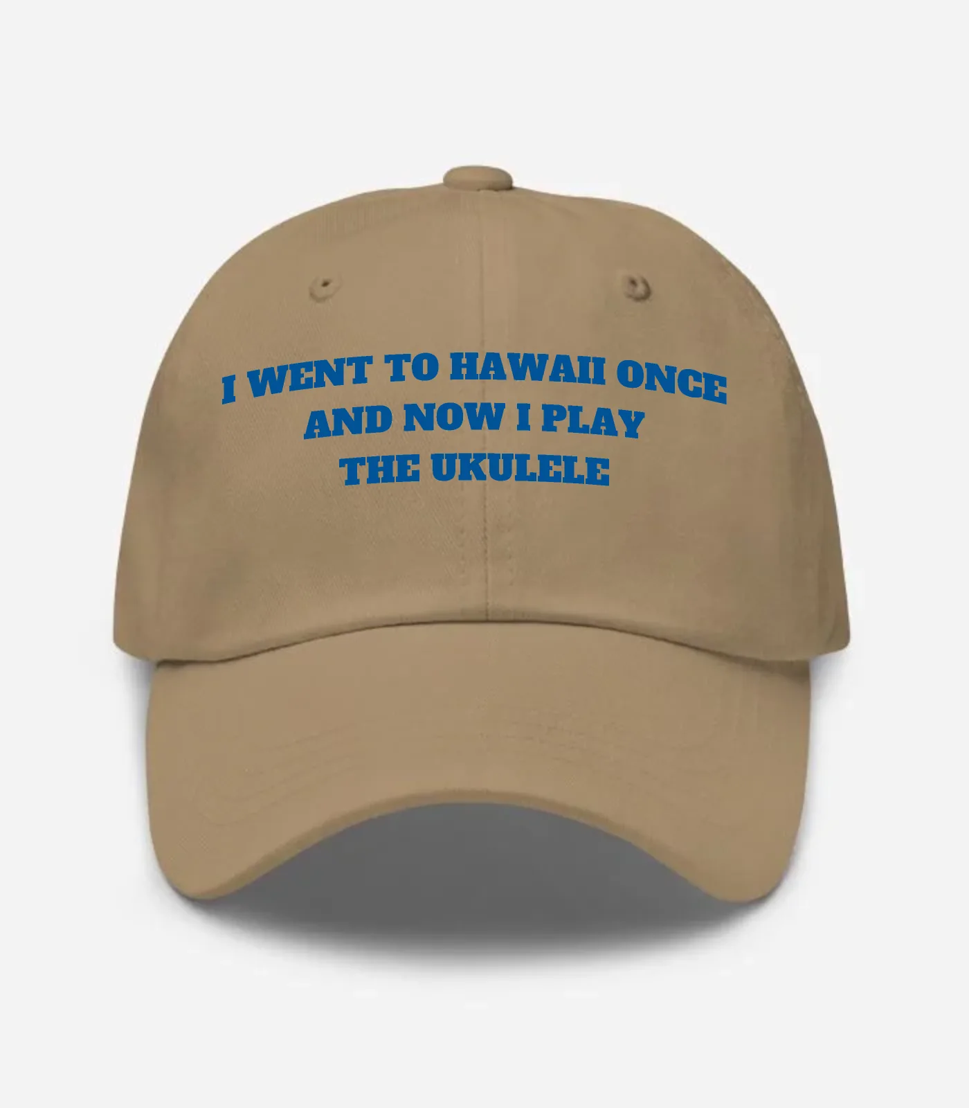 I Went To Hawaii Once And Now I Play The Ukulele Hat