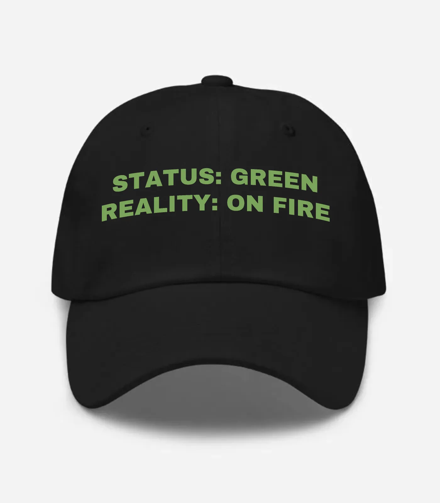 Status: Green Reality: On Fire Hat