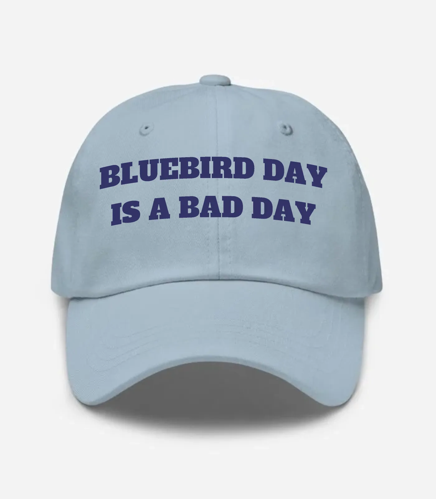 Bluebird Day Is A Bad Day Hat - Light Blue