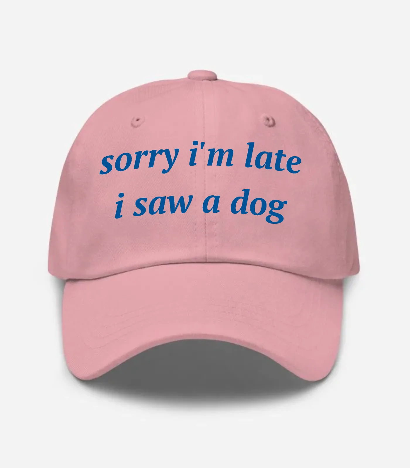 Sorry I'm Late I Saw A Dog Hat