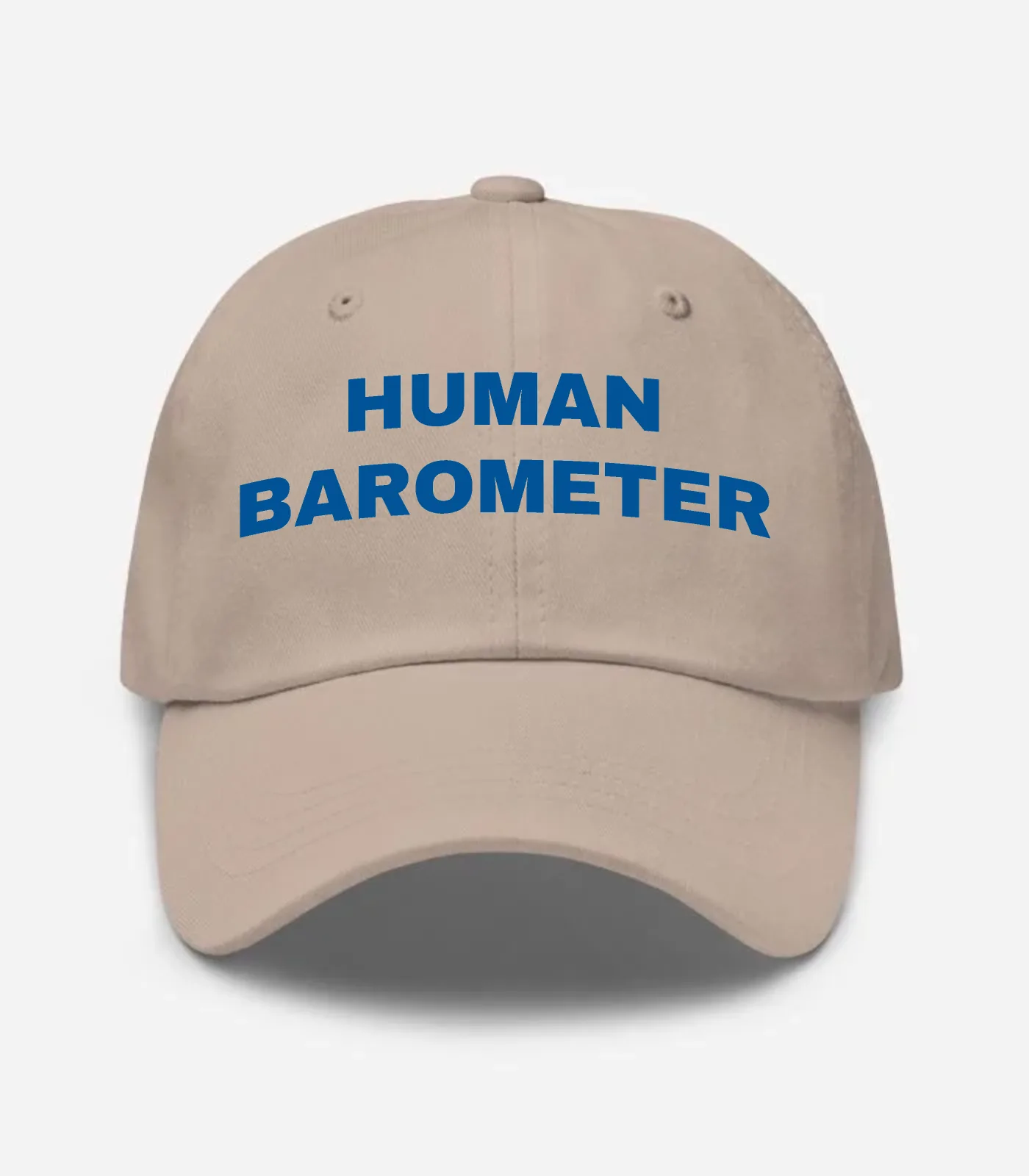 Human Barometer Hat