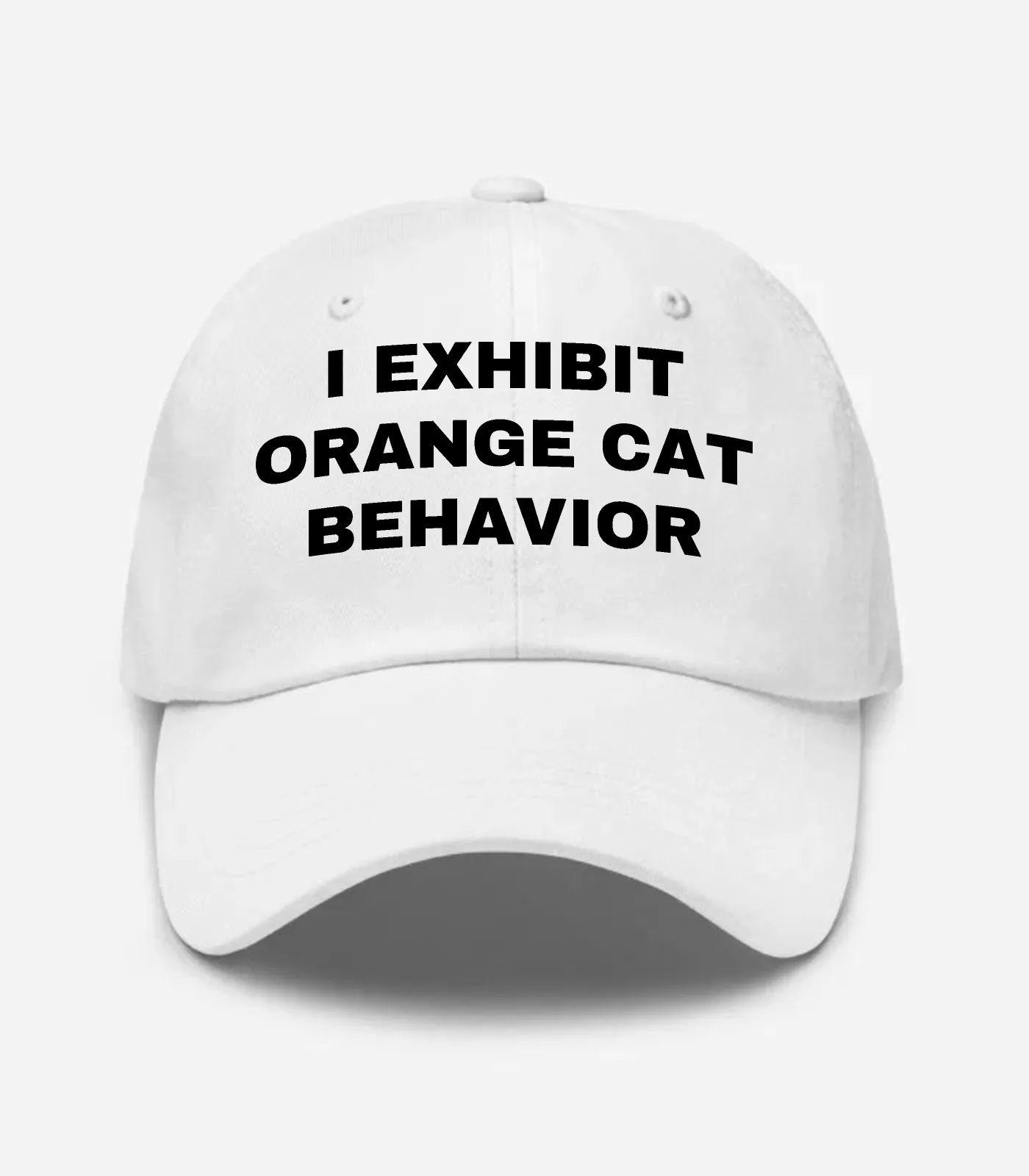 I Exhibit Orange Cat Behavior Hat