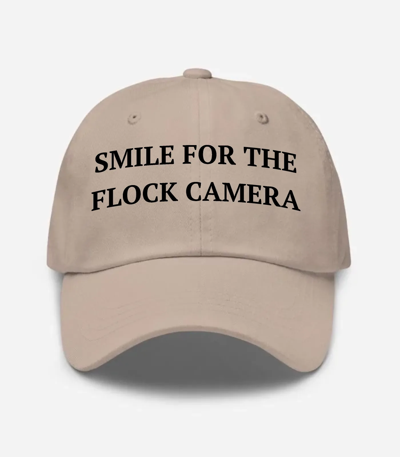 Smile For The Flock Camera Hat - Stone