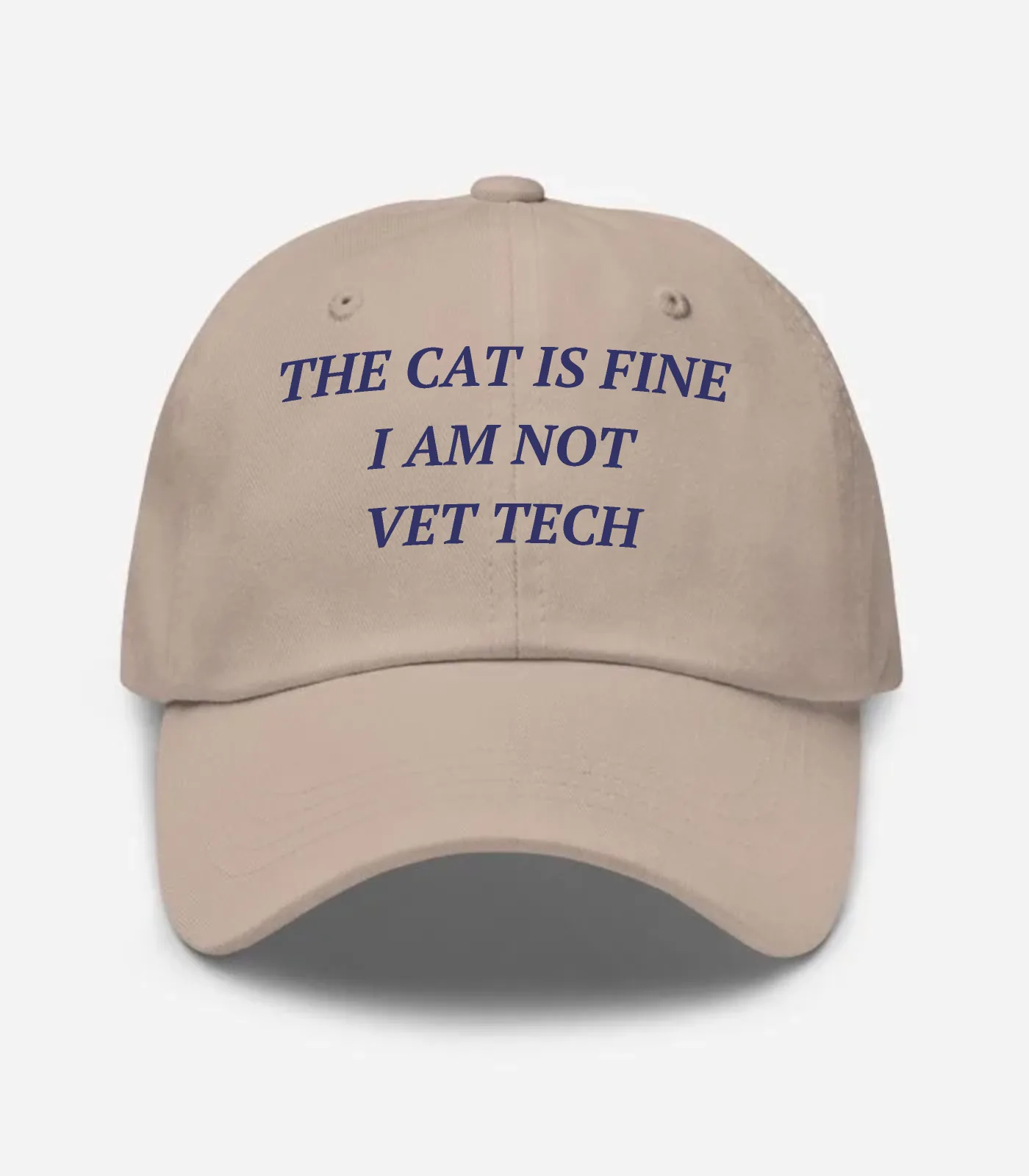 The Cat Is Fine I Am Not Vet Tech Hat - Stone