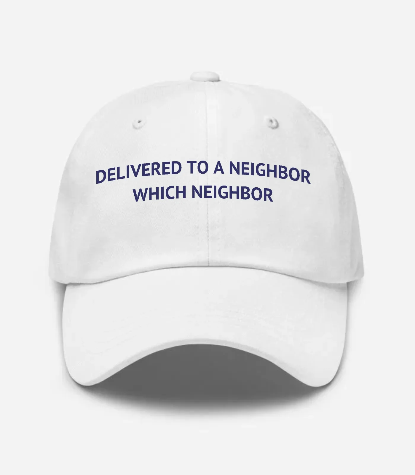 Delivered To A Neighbor Which Neighbor Hat - White