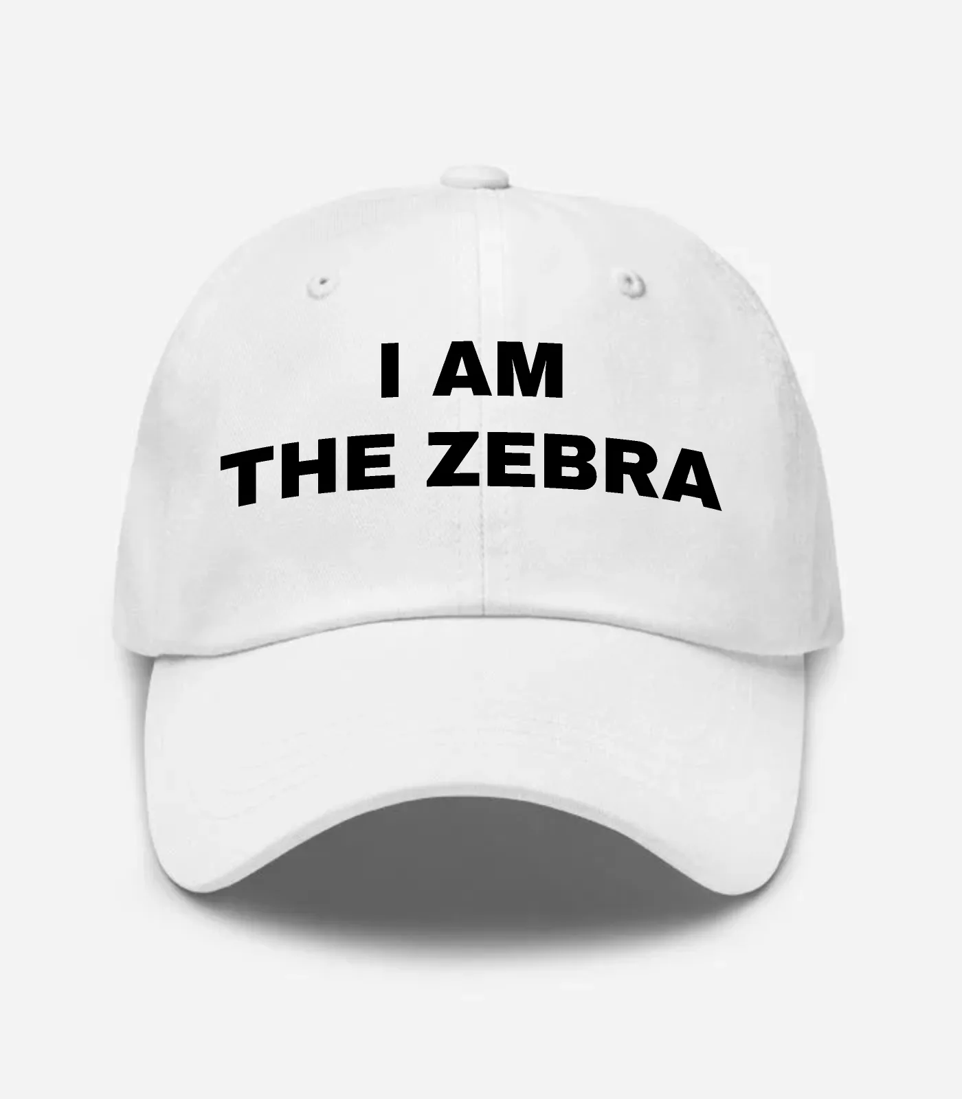 I Am The Zebra Hat