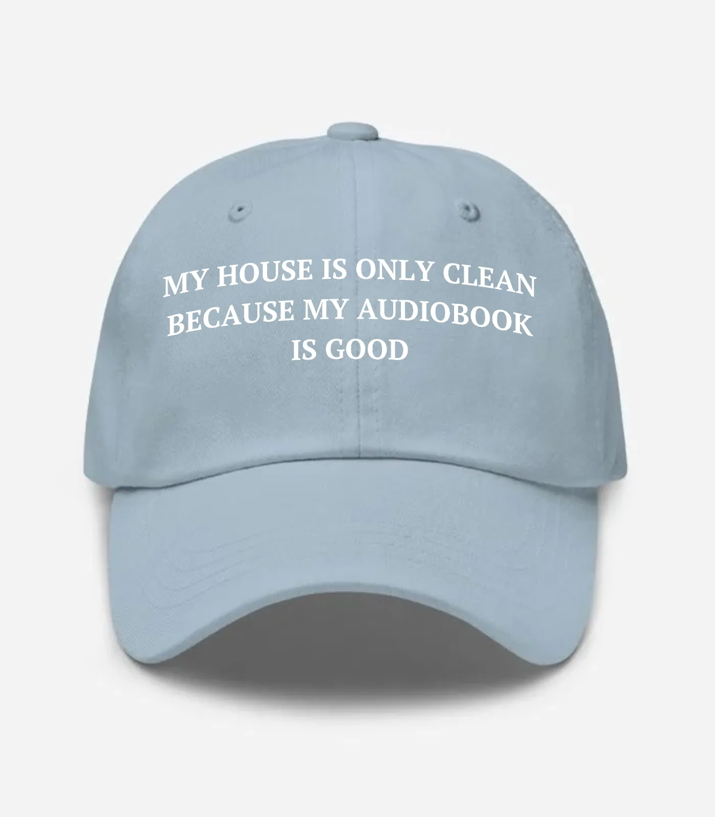 My House Is Only Clean Because My Audiobook Is Good Hat - Light Blue