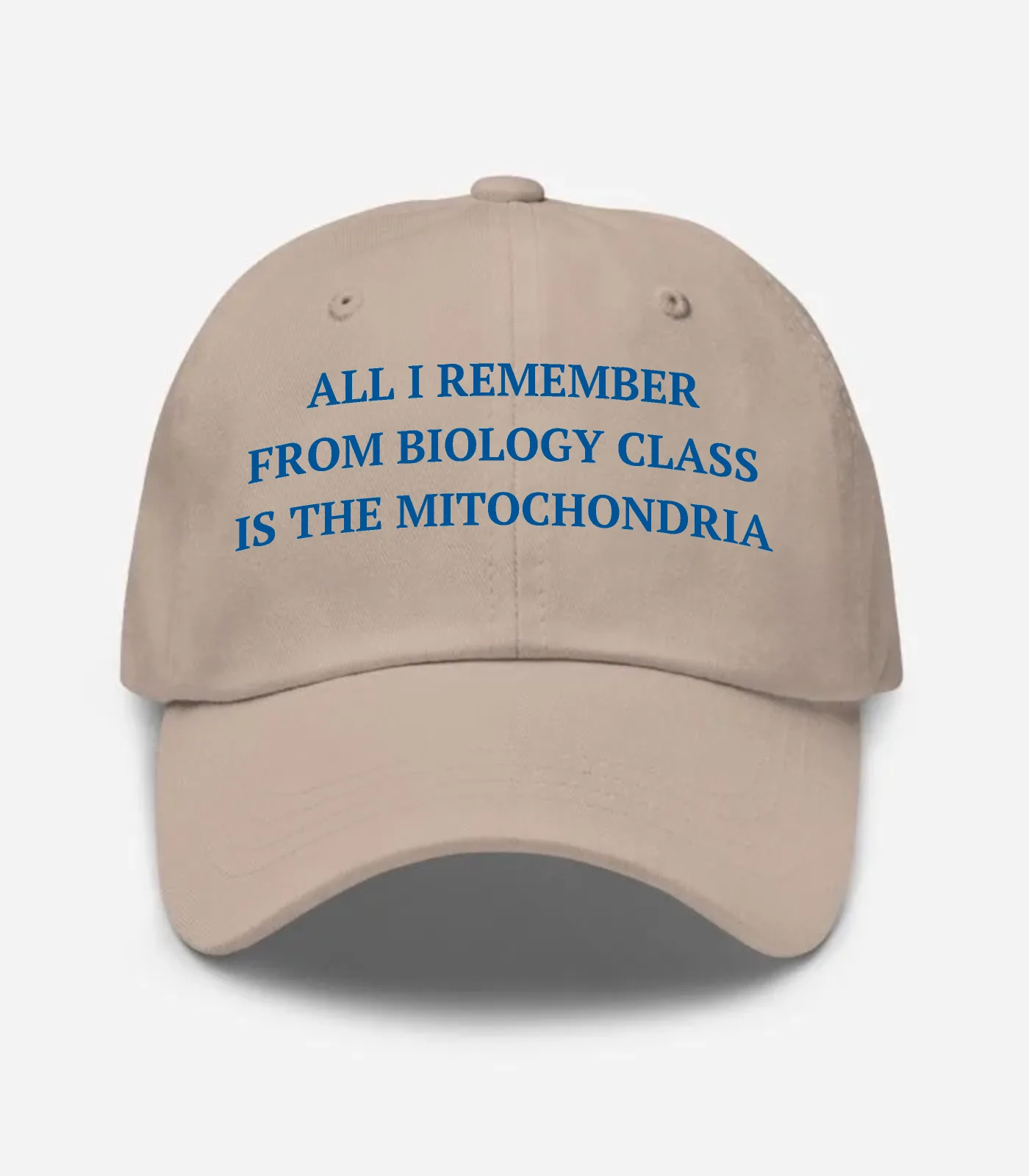 All I Remember From Biology Class Is The Mitochondria Hat - Stone