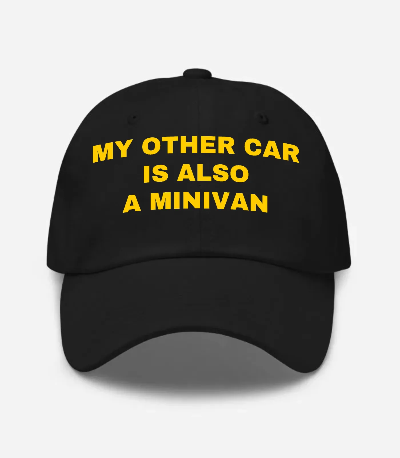 My Other Car Is Also A Minivan Hat