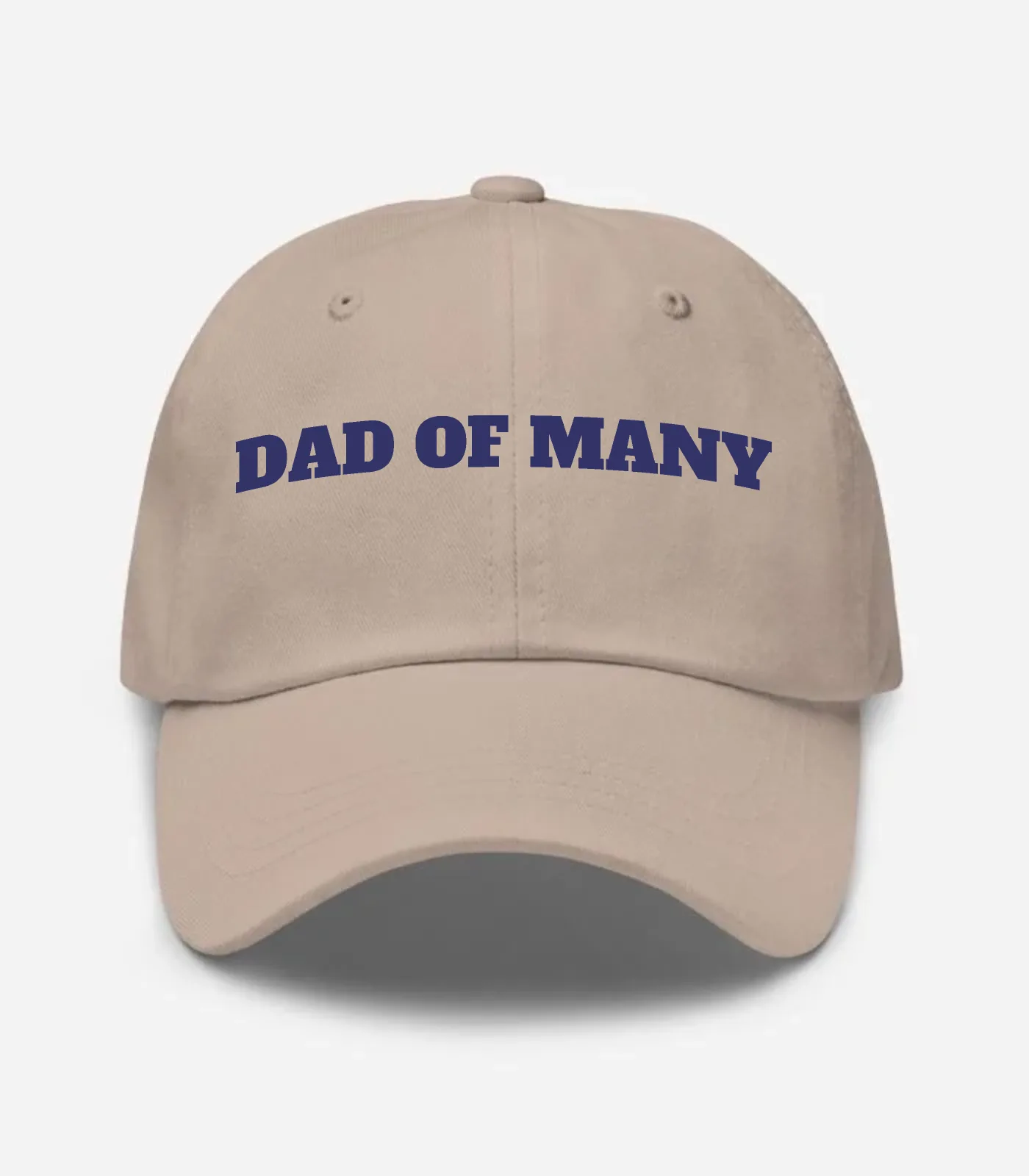 Dad Of Many Hat