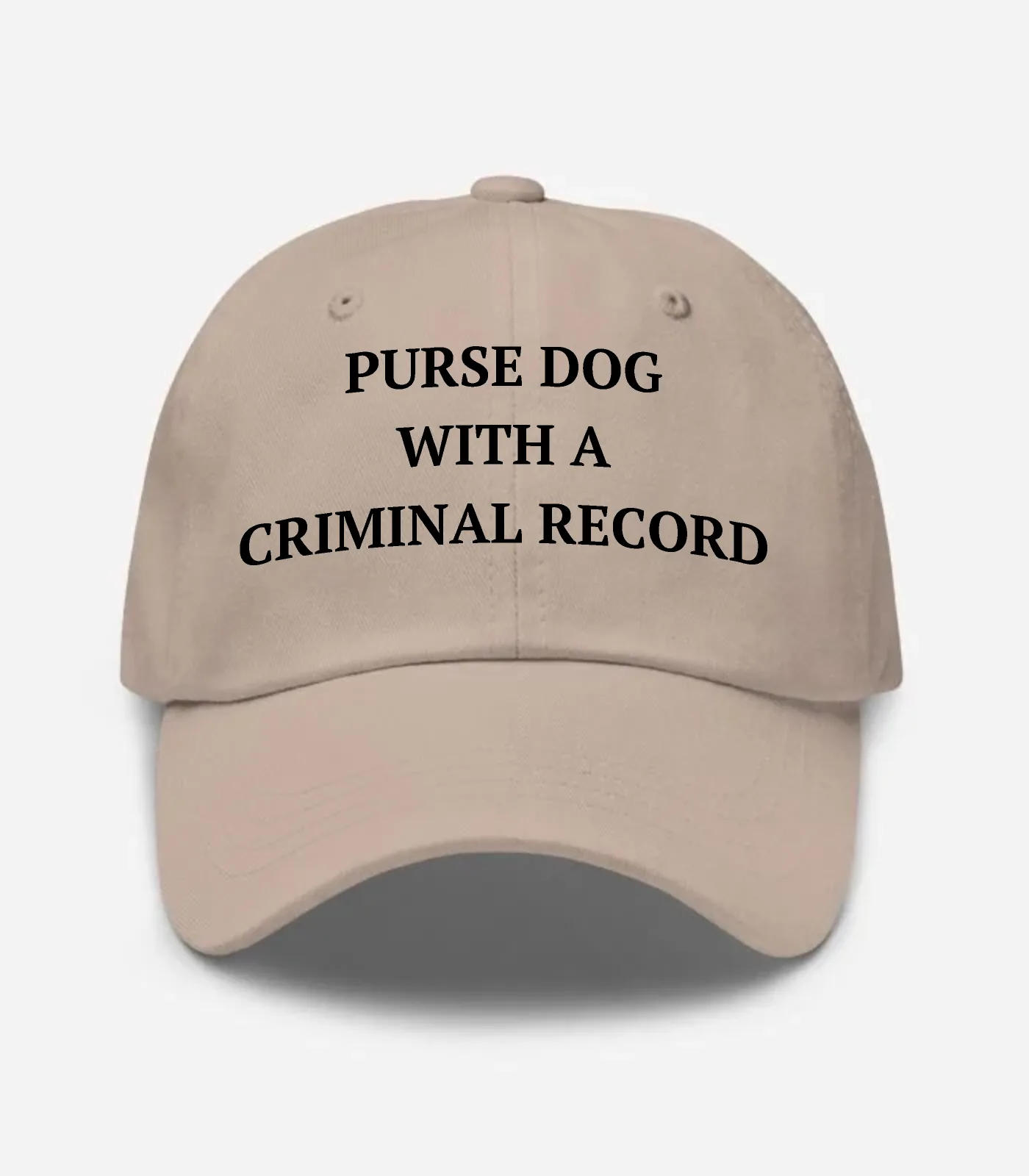Purse Dog With A Criminal Record Hat - Stone