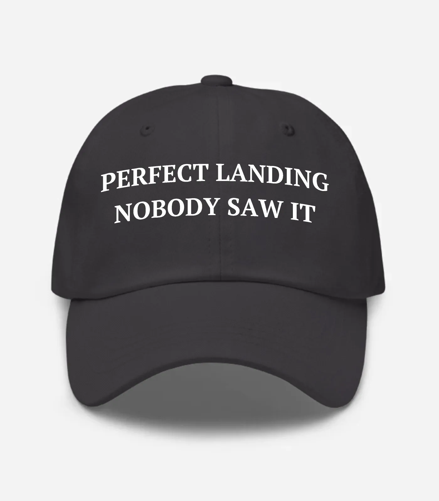 Perfect Landing Nobody Saw It Hat - Dark Grey