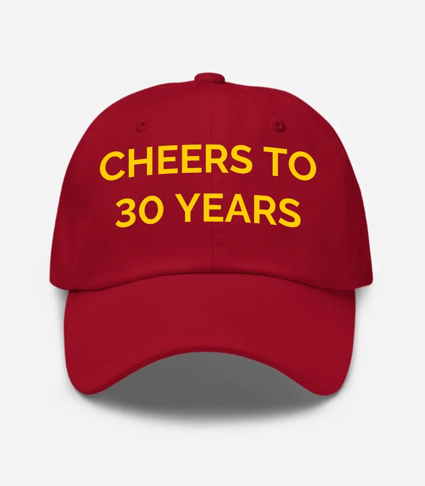 Cheers To 30 Years Hat