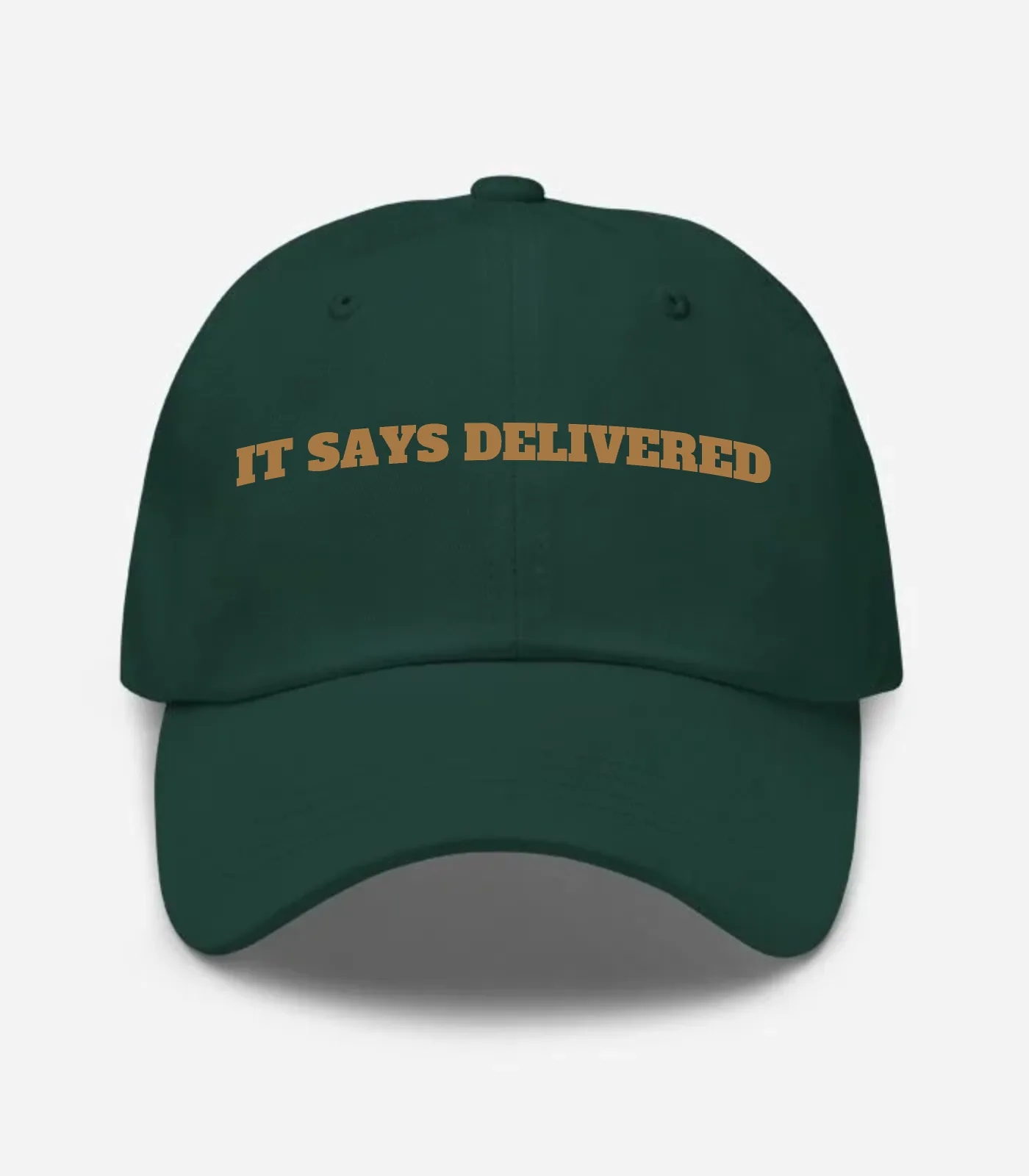 It Says Delivered Hat - Spruce