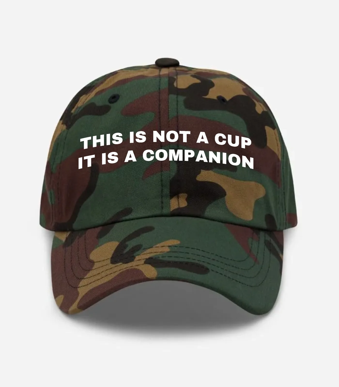 This Is Not A Cup It Is A Companion Hat