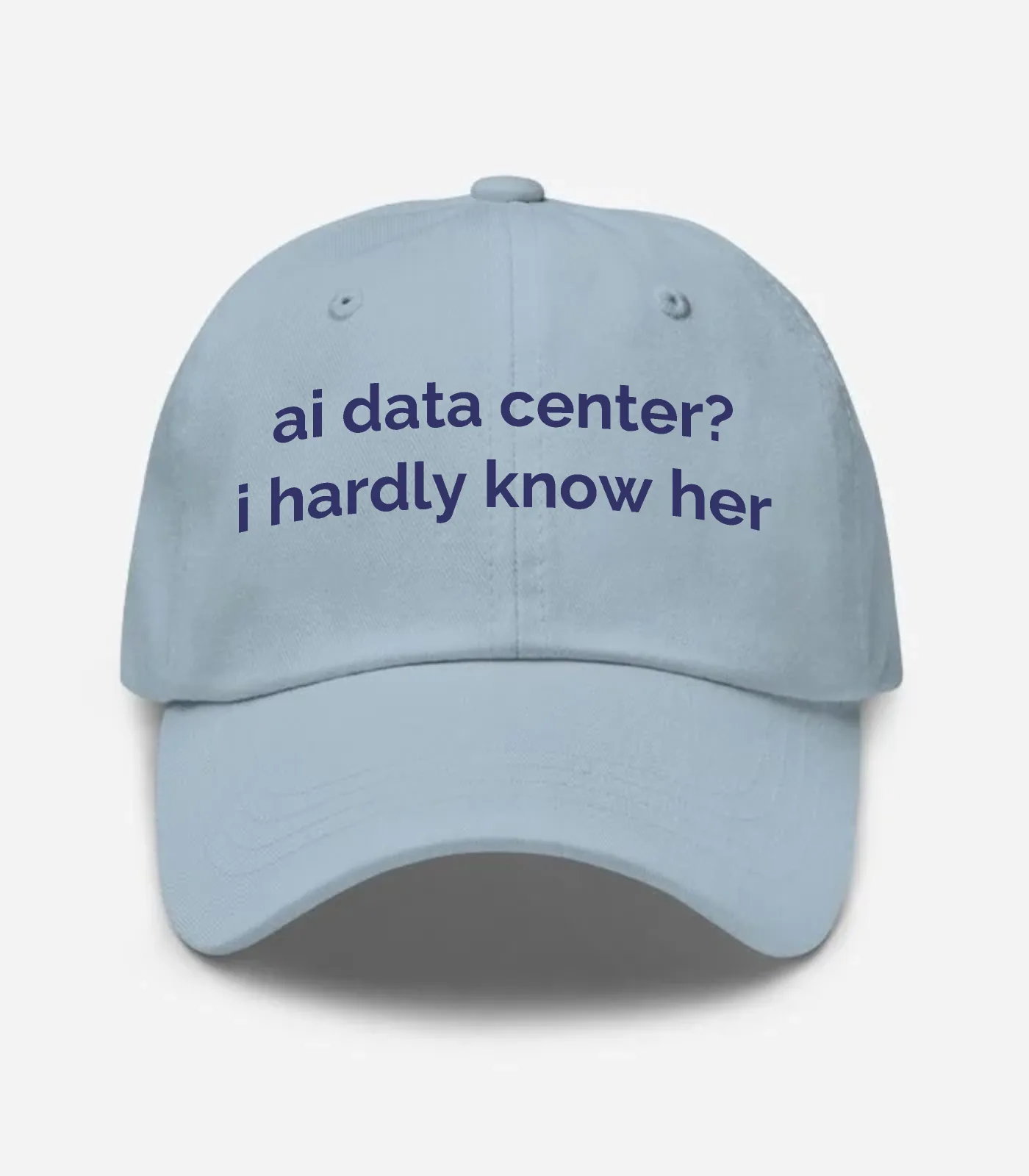 Ai Data Center? I Hardly Know Her Hat - Light Blue
