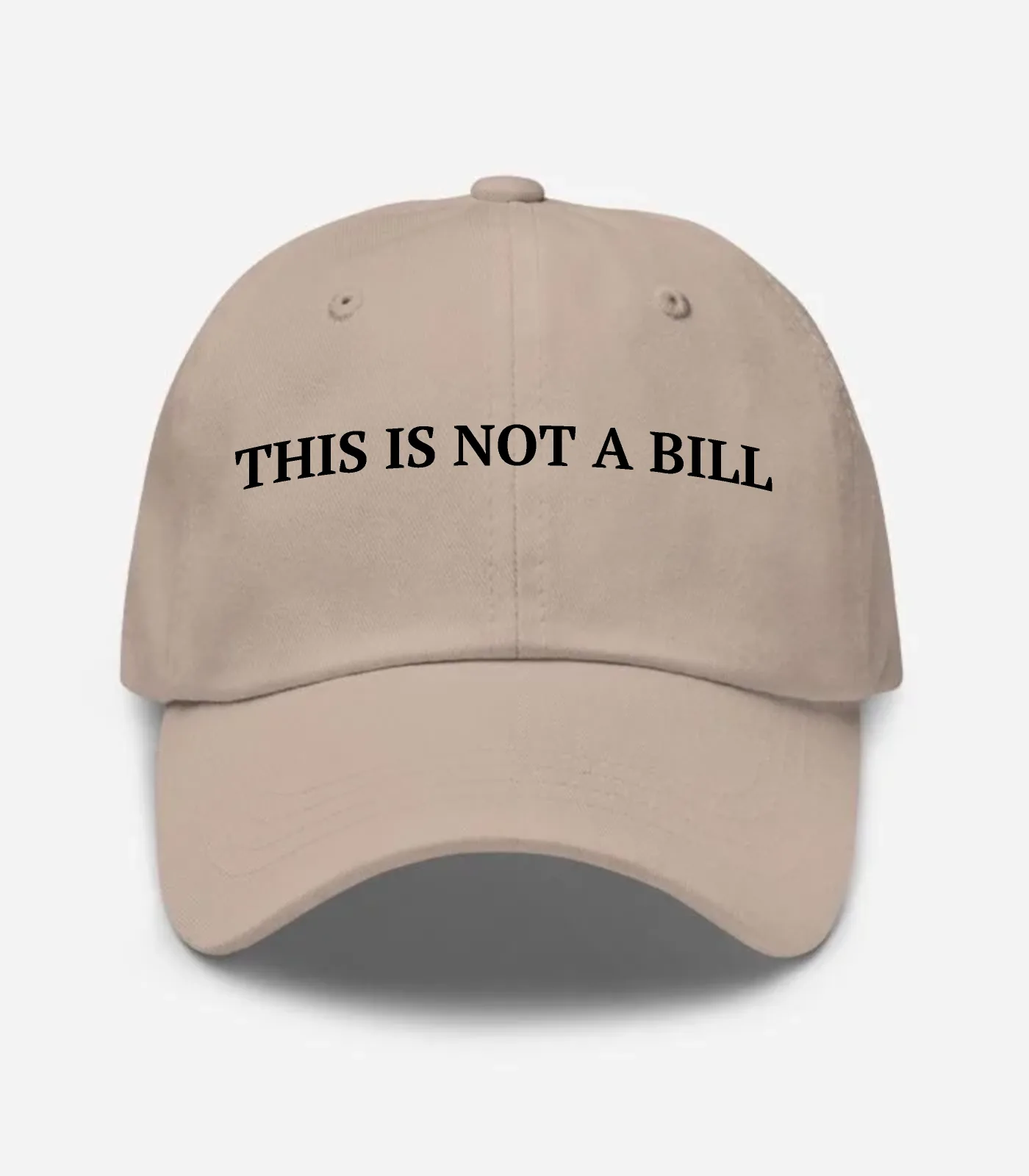 This Is Not A Bill Hat - Stone