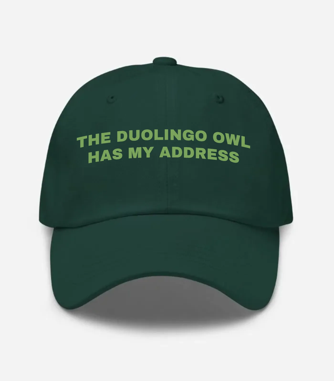 The Duolingo Owl Has My Address Hat