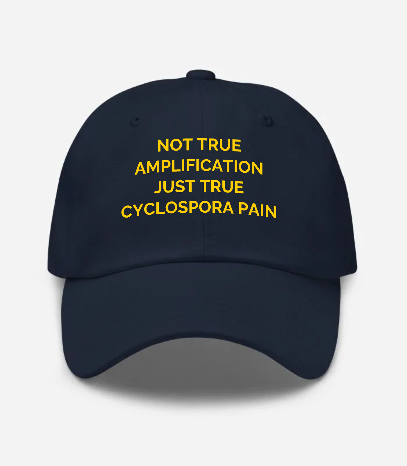 Not True Amplification Just... Hat - Navy