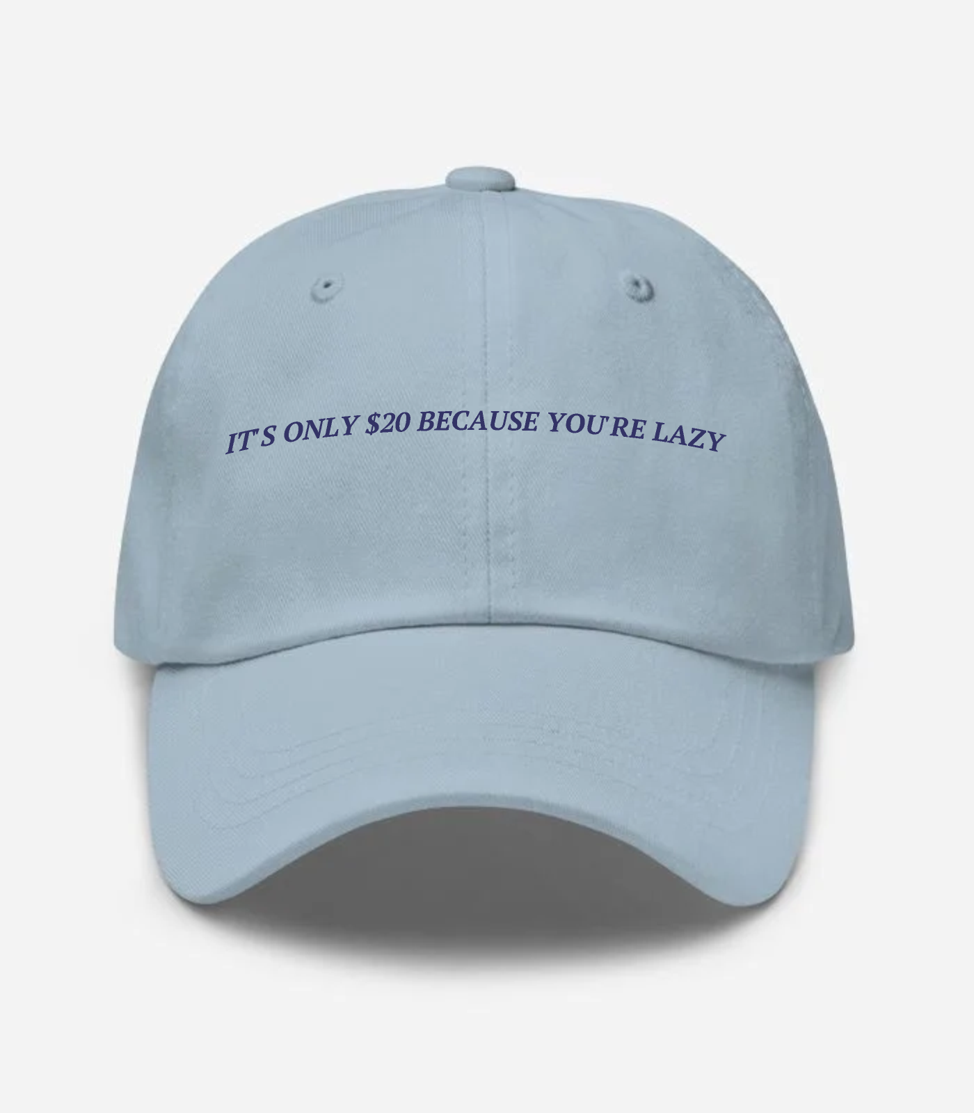 It's Only $20 Because You'r... Hat