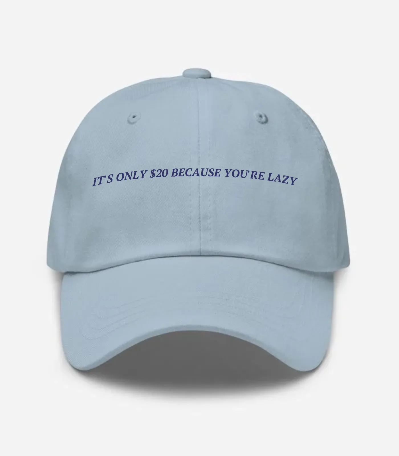 It's Only $20 Because You'r... Hat