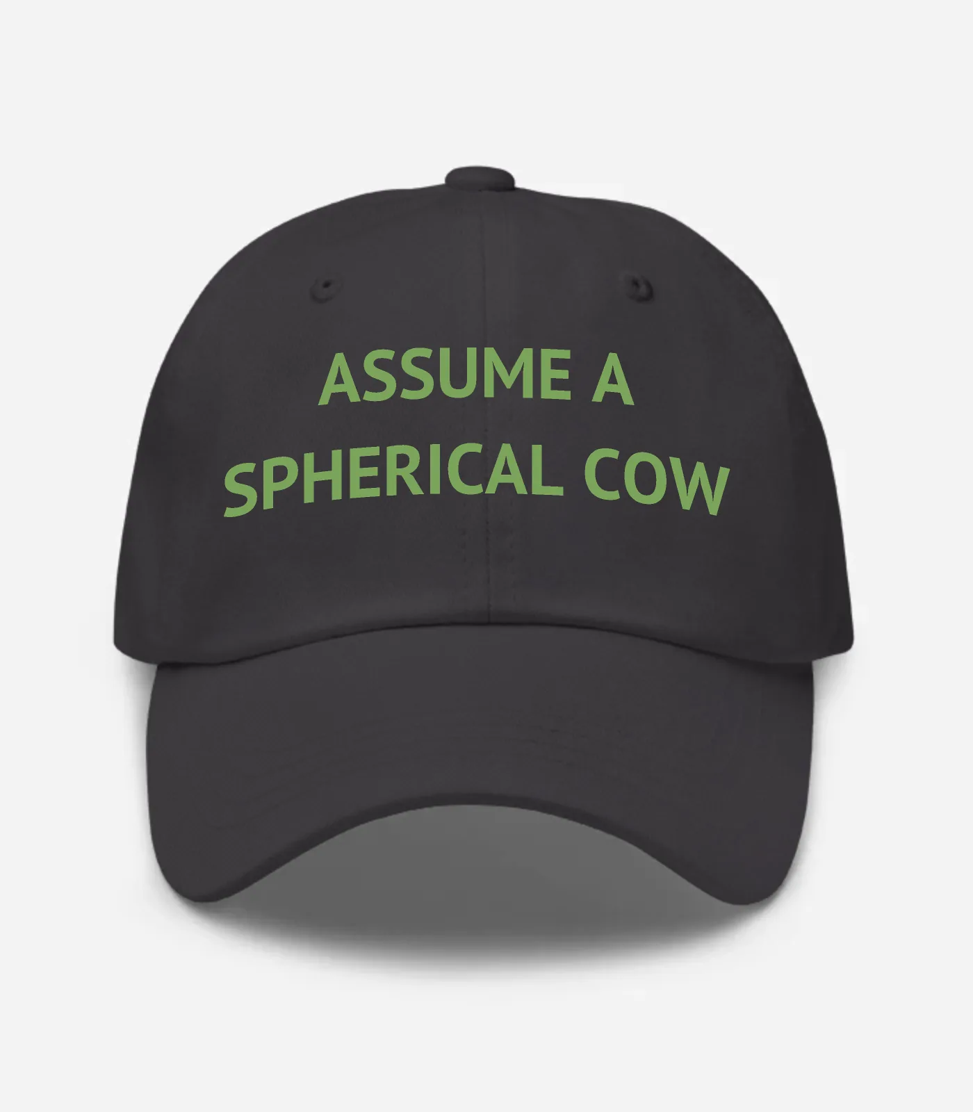 Assume A Spherical Cow Hat