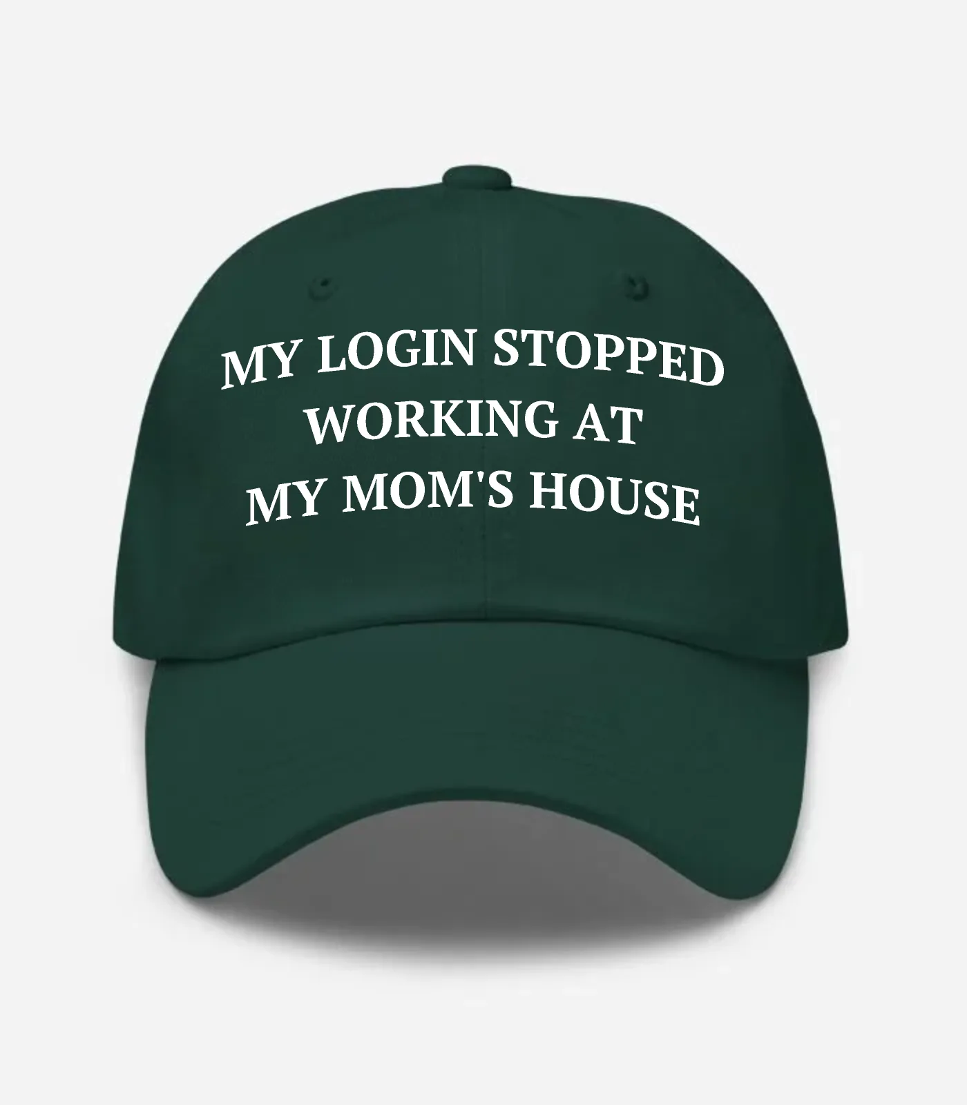 My Login Stopped Working At... Hat - Spruce