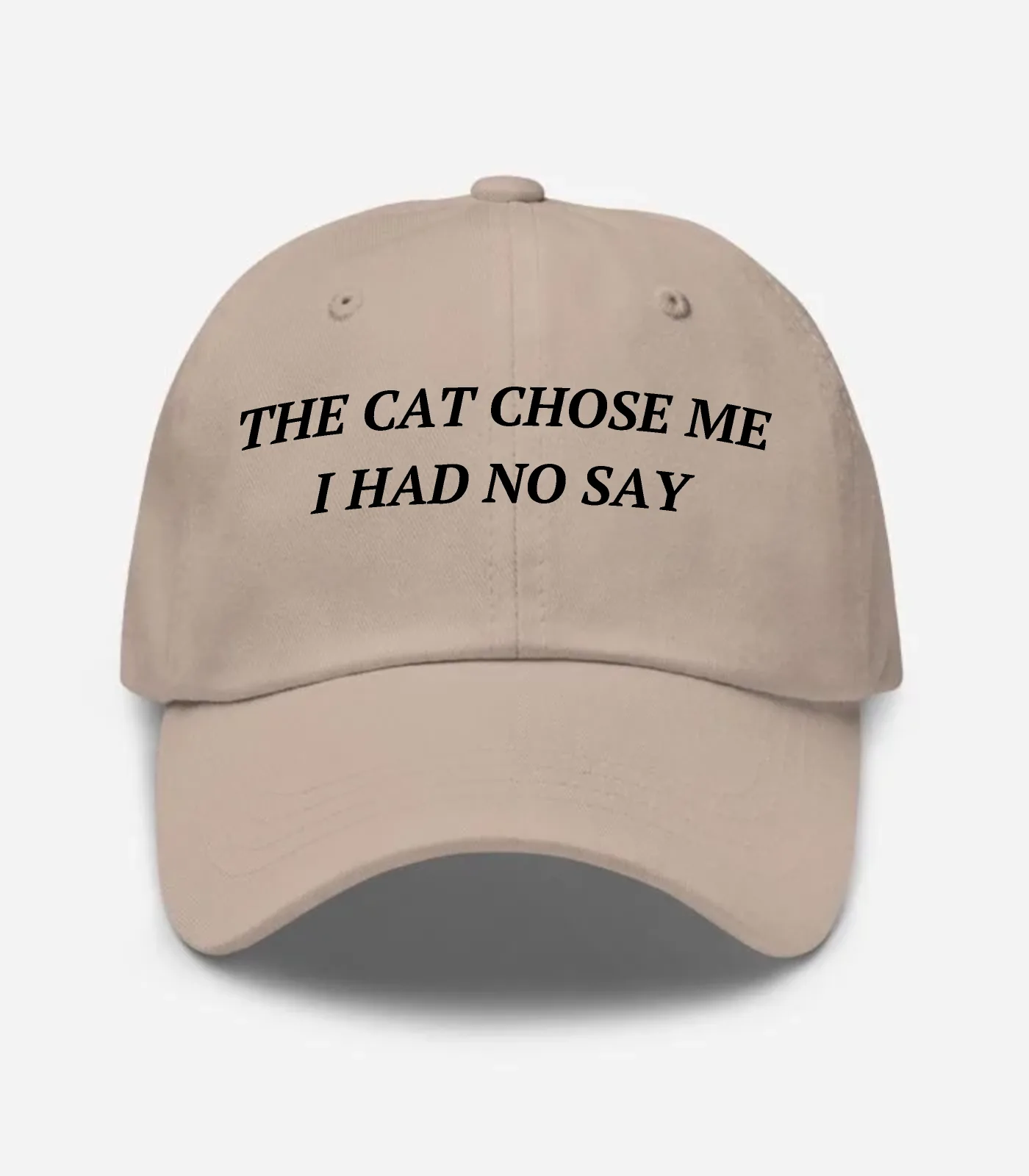 The Cat Chose Me I Had No Say Hat