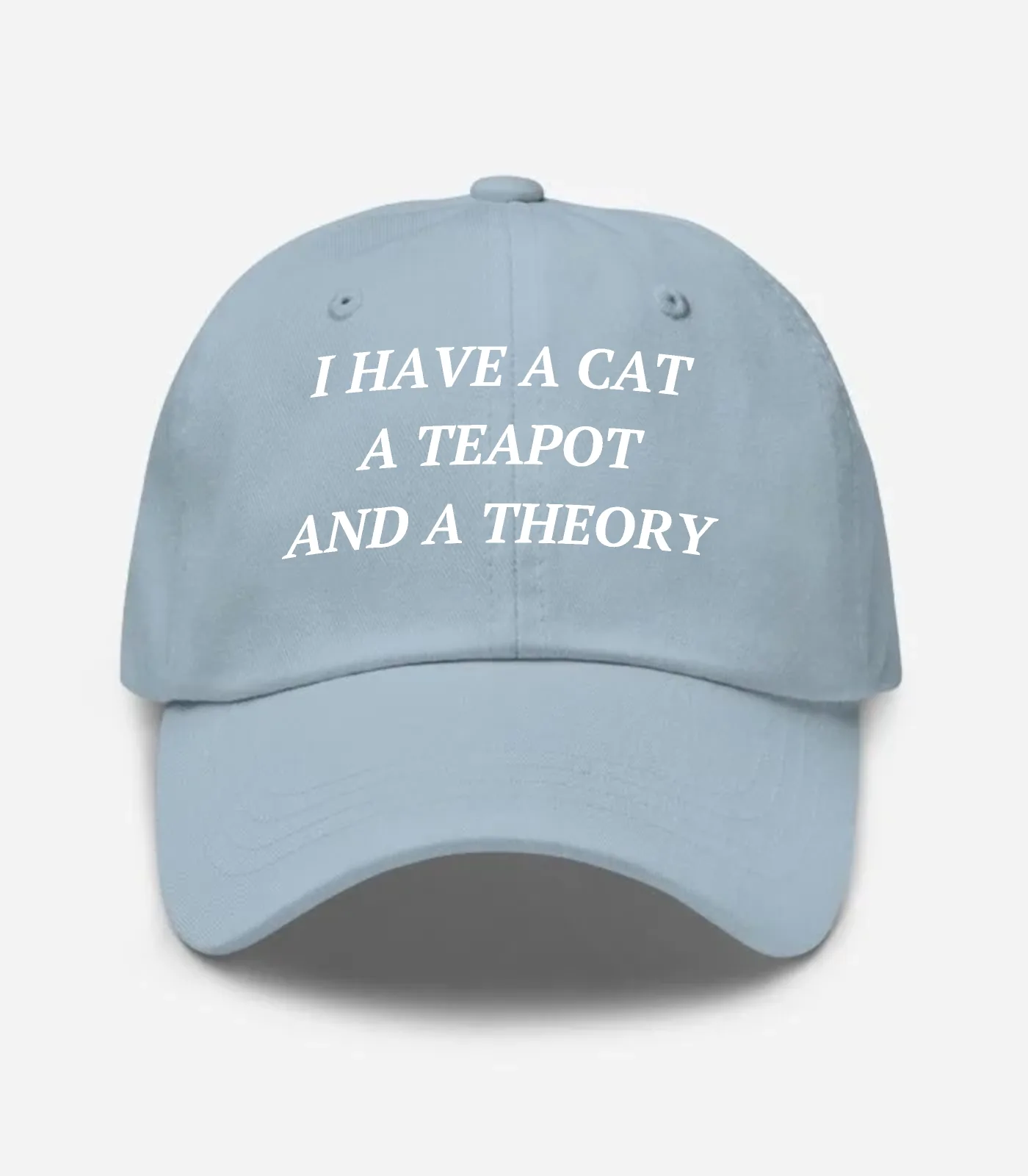 I Have A Cat A Teapot And A Theory Hat