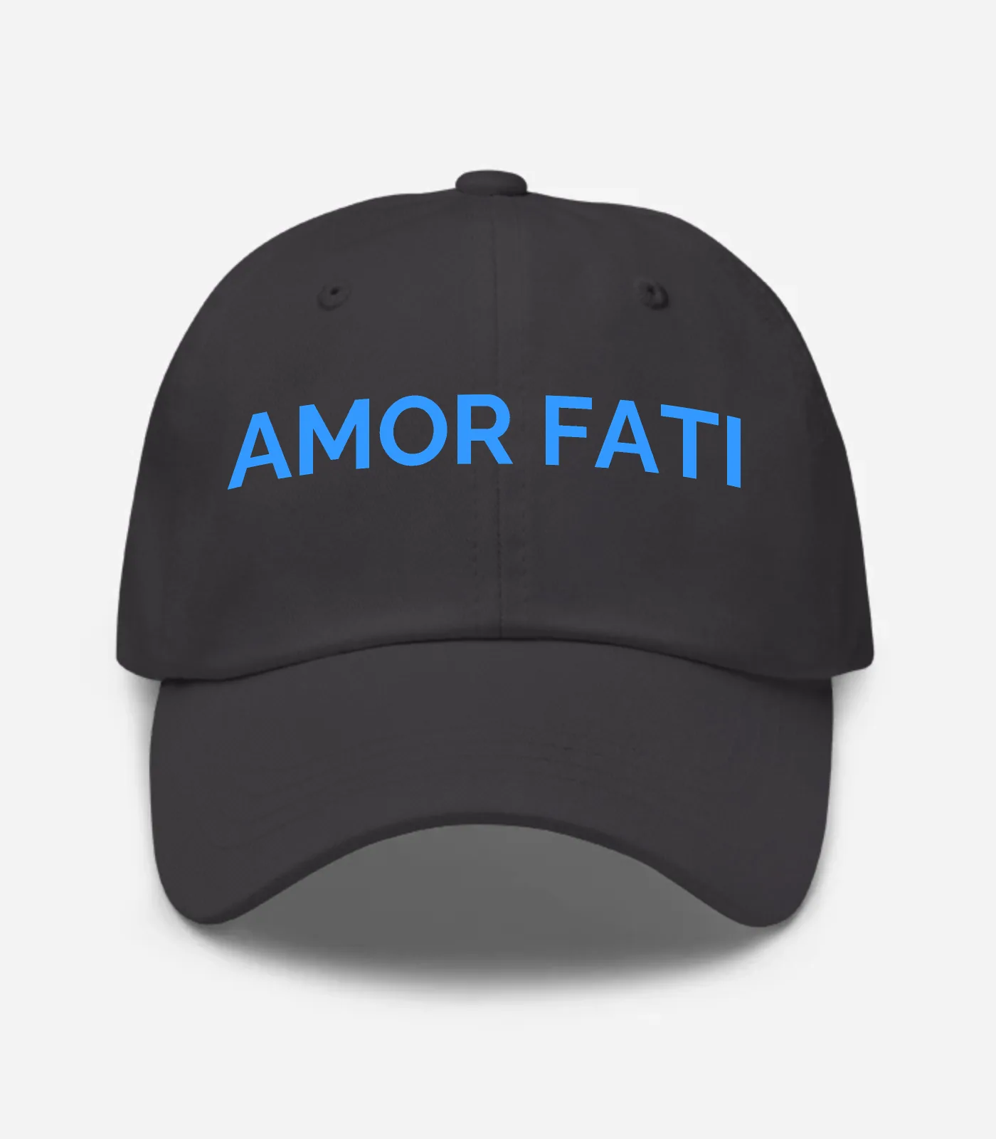 Amor Fati Hat - Dark Grey