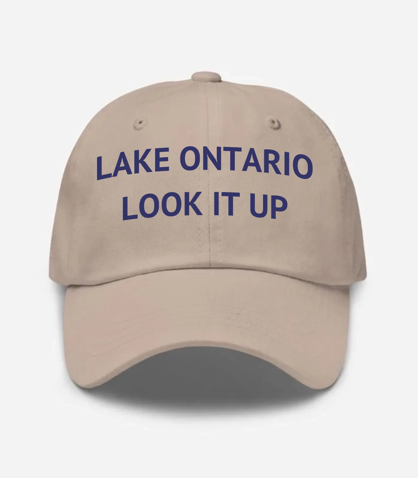 Lake Ontario Look It Up Hat - Stone